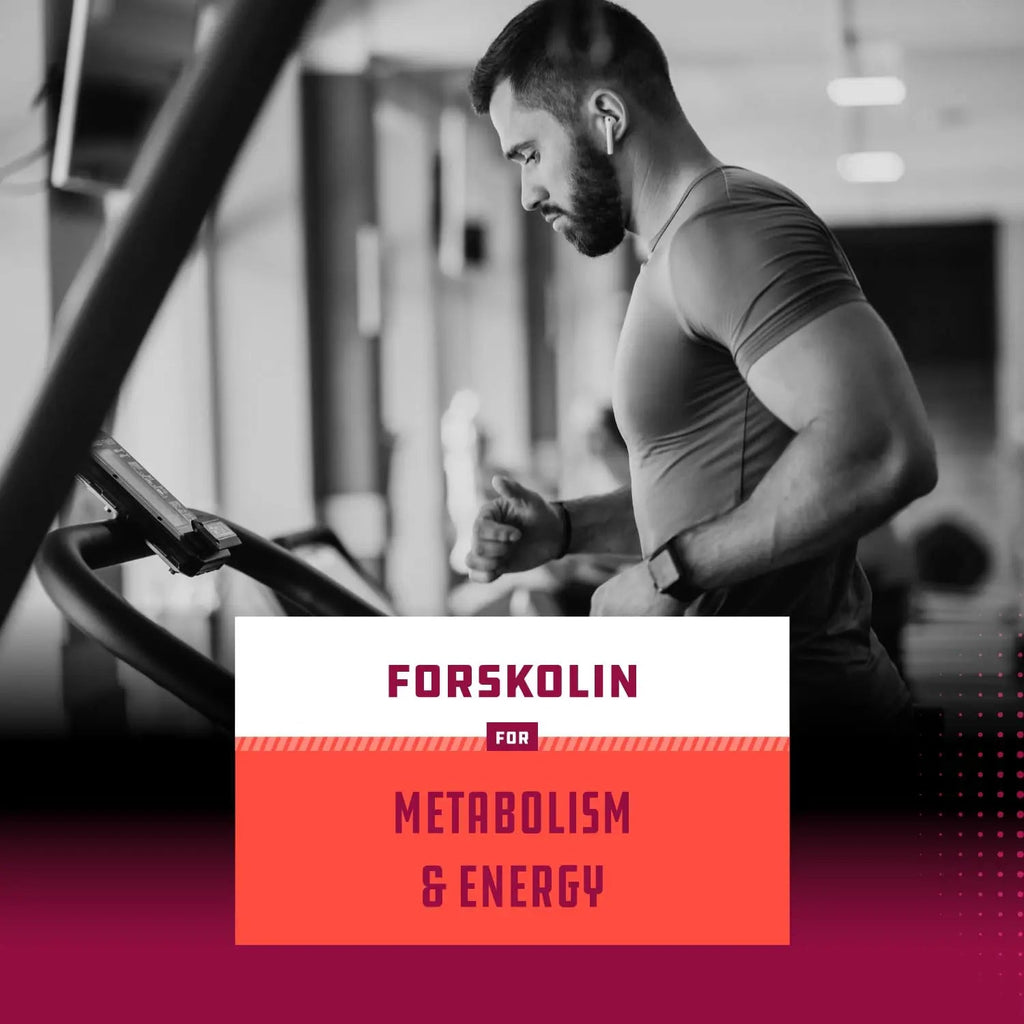 Pure Forskolin Extract - Fat Burning & Metabolism Boosting Weight Loss Supplement Natures Craft Au supplements