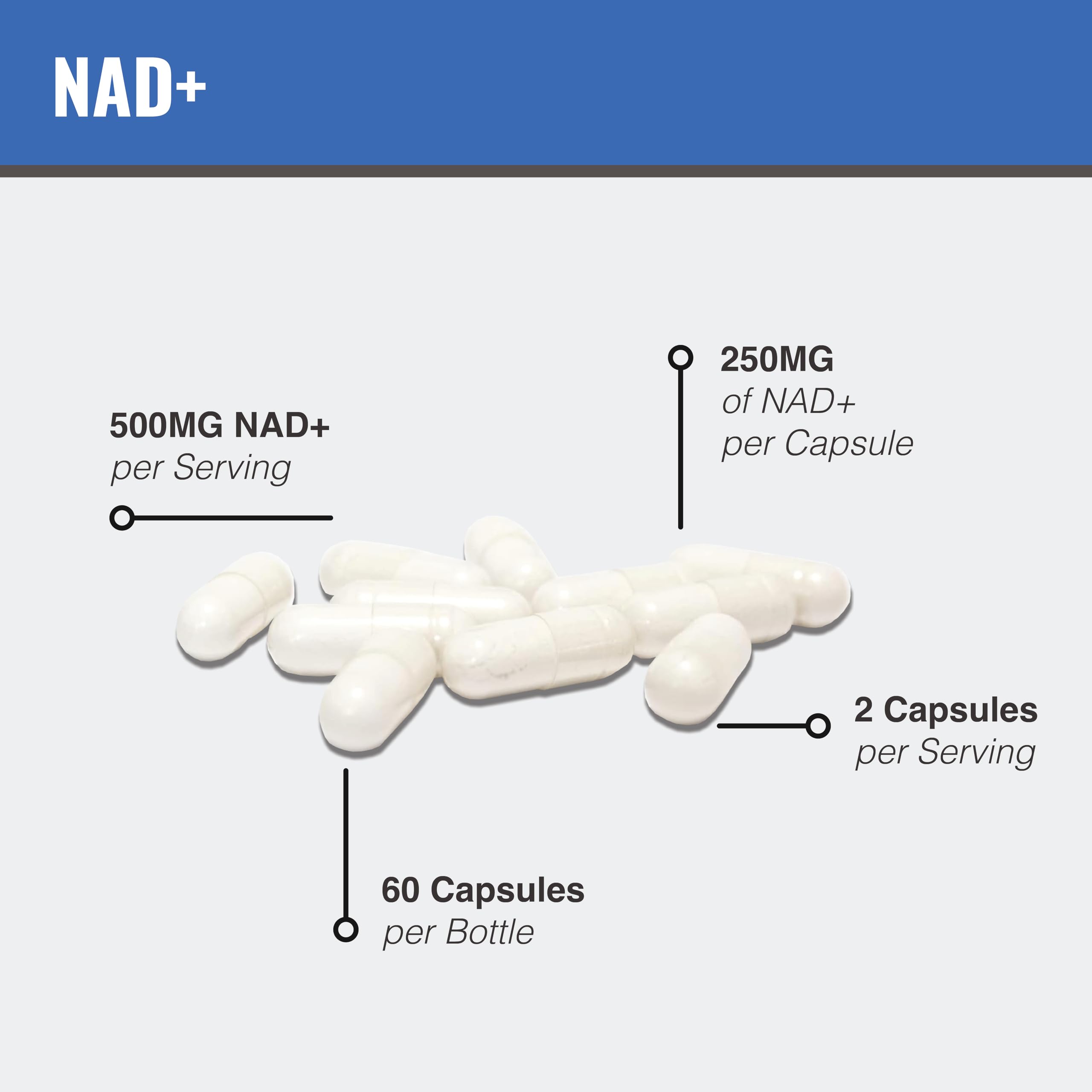 MAAC10 Liposomal NAD Supplement 500mg Serving (2x250mg Capsules) Actual Nicotinamide Adenine Dinucleotide MAAC10 Au supplements