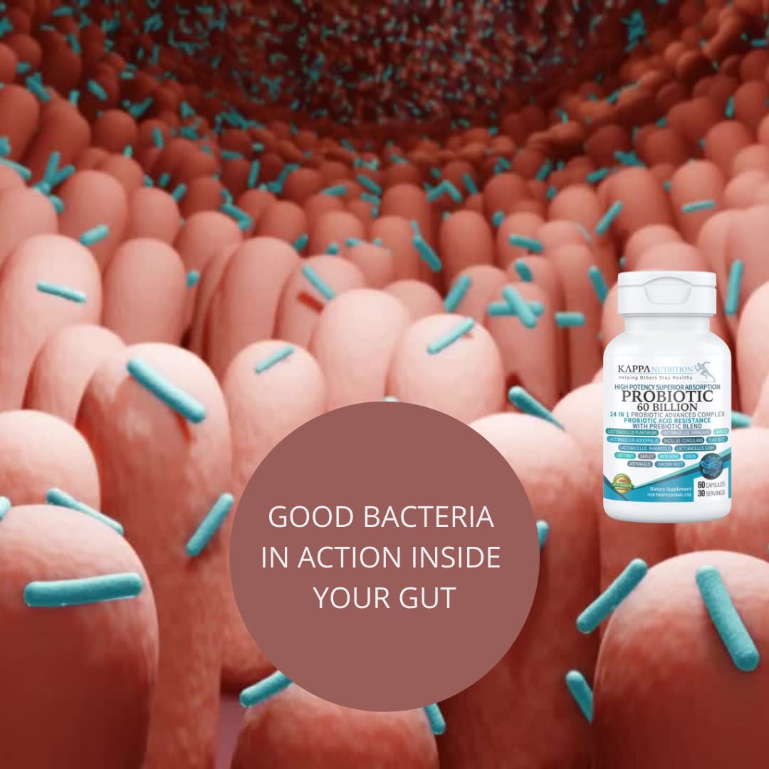 KAPPA NUTRITION Probiotic 60 Billion CFU 14 in 1 Formula with Prebiotics & Acidophilus for Women, Men & Adults, Shelf Stable, Acid Resistant