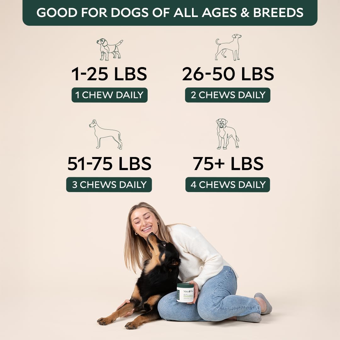 Nira Pet Probiotics for Dogs – 60 Beef-Flavored Chews with Postbiotics, Colostrum, Ashwagandha & Lactobacillus – Supports Gut Health, Immunity, Diarrhea, Gas & Stress Nira Pet Au supplements