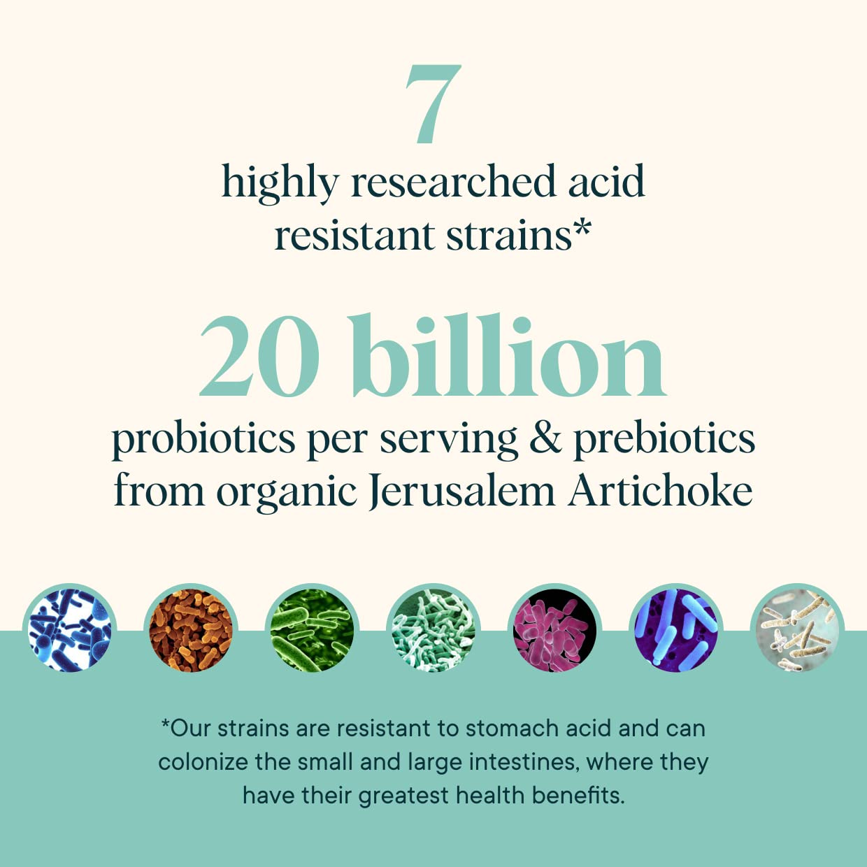 Ora Organic Prebiotic and Probiotic Powder Supplement - 20 Billion Probiotics, 7 Strains for Best Prebiotic Powder, Non-GMO, Probiotics for Women, Men & Kids