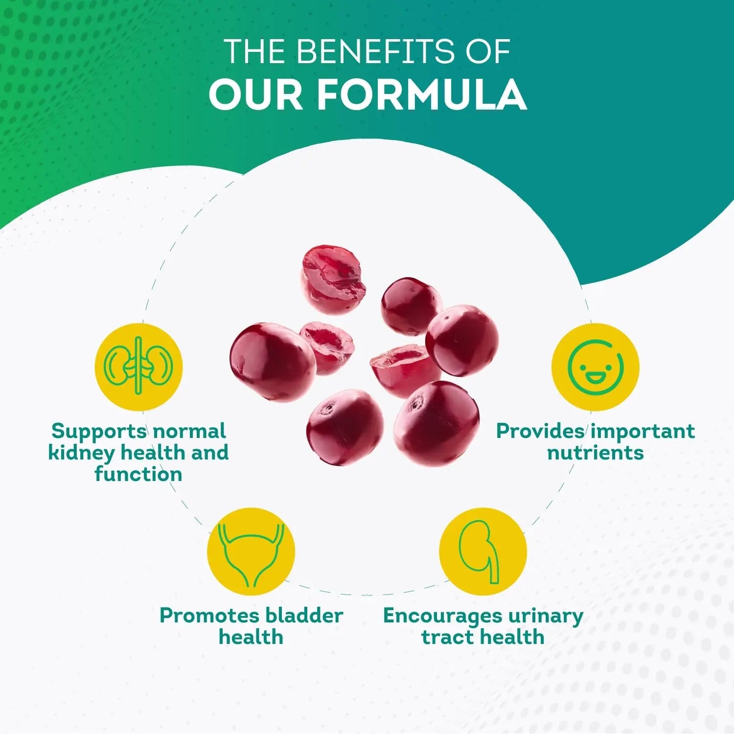 PurePremium Kidney Support Supplement for Men and Women - with Cranberry Extract PurePremium Supplements Au supplements