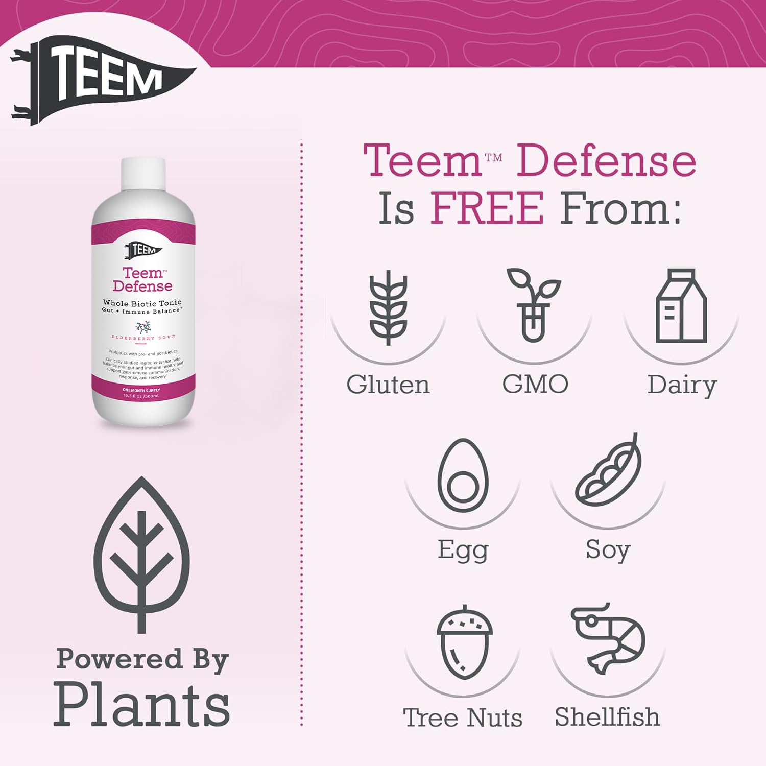 Teem Defense Liquid Probiotic with Elderberry, Whole Biotic Tonic for Digestion & Immunity, Prebiotic Probiotic & Postbiotic Supplement for Kids and Adults, 30 Day Supply – 16.3 Fl.Oz Teem Au supplements