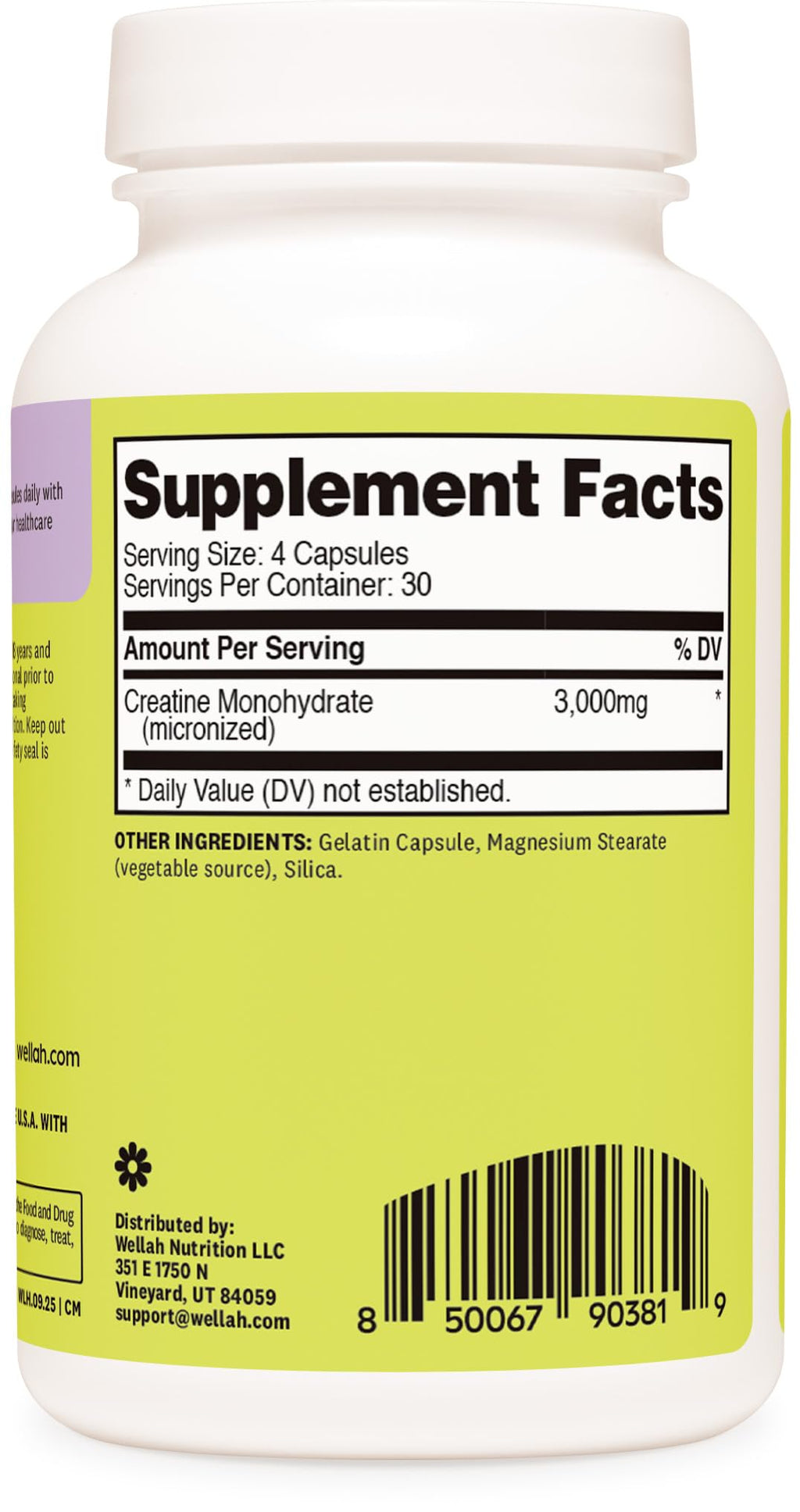 Wellah Creatine Monohydrate Capsules (3000 mg) 120 Capsules - Micronized Creatine, 30 Servings