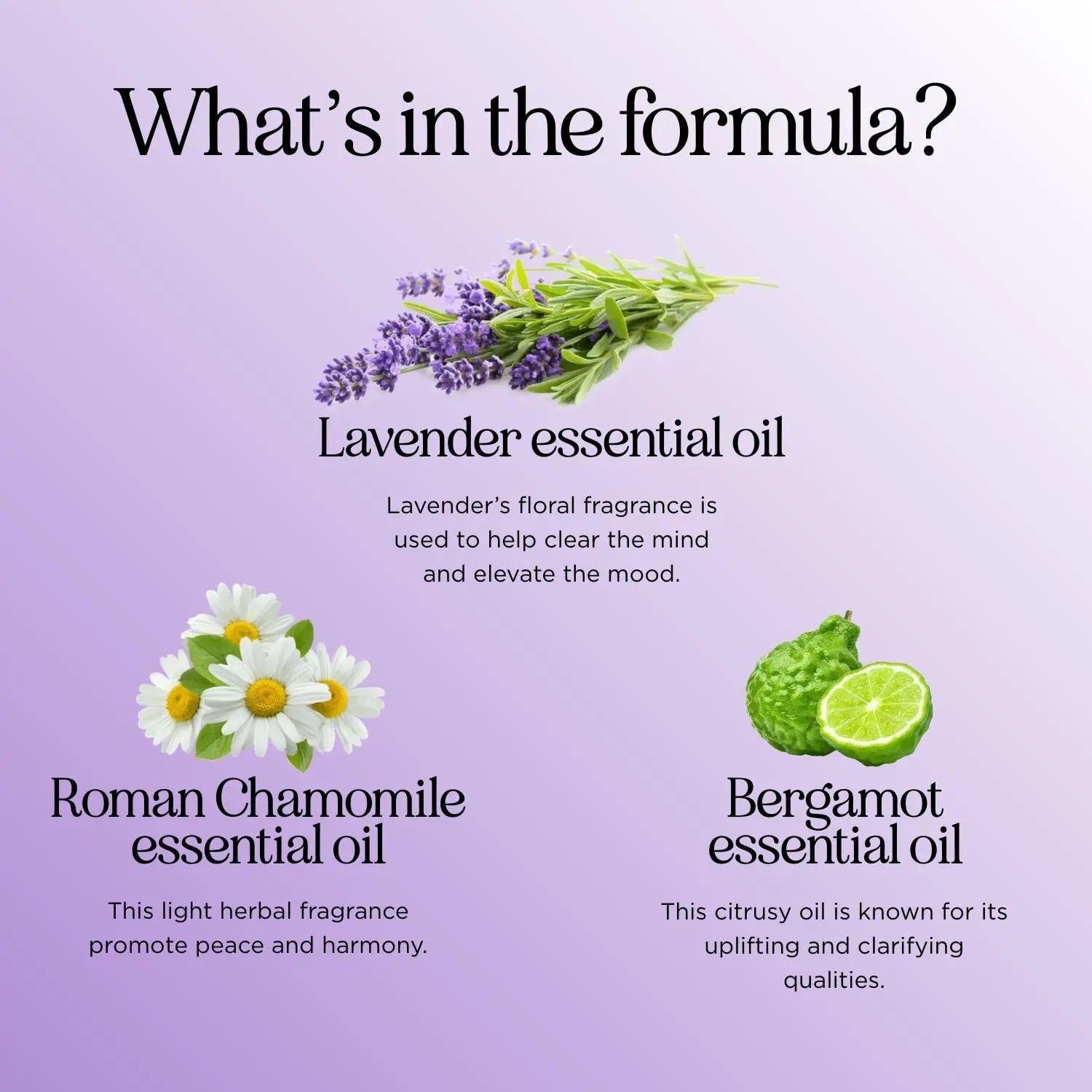 Sleep Essential Oil Blend for Diffuser - Snooze Blend Essential Oil for Sleep with Roman Chamomile Maple Holistics Au supplements