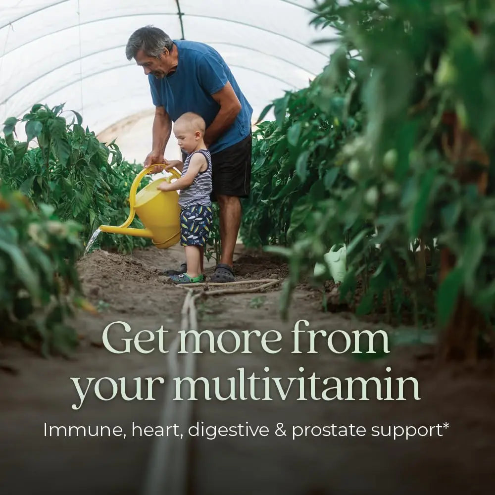 New Chapter Multivitamin for Men 50 Plus + Immune Support - Every Man's One Daily 55+ with Fermented Probiotics + Whole Foods + Astaxanthin New Chapter Au supplements