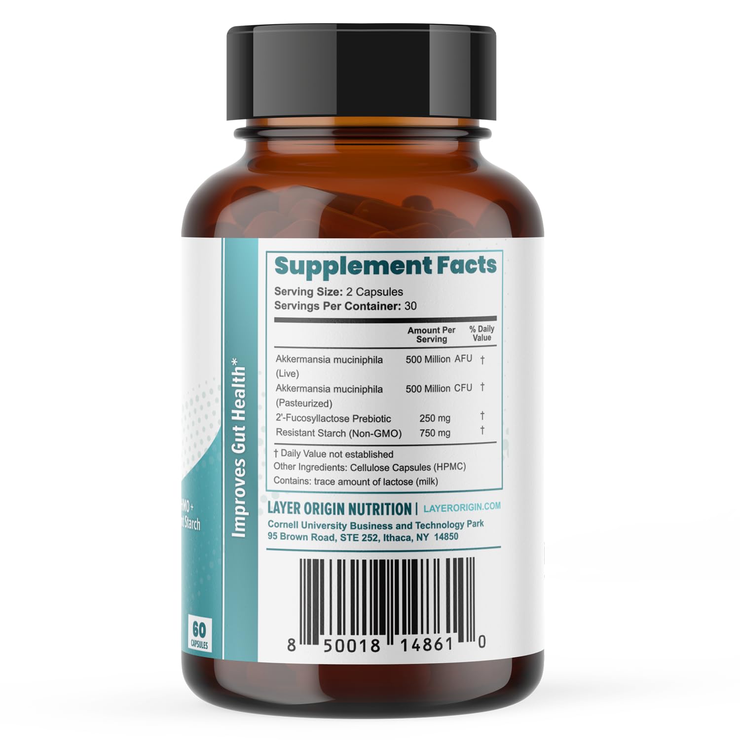 Layer Origin Akkermansia muciniphila Probiotic, with Both Live + Pasteurized Akkermansia and PureHMO Prebiotic, Validated Strain, Updated 4-in-1 Formula