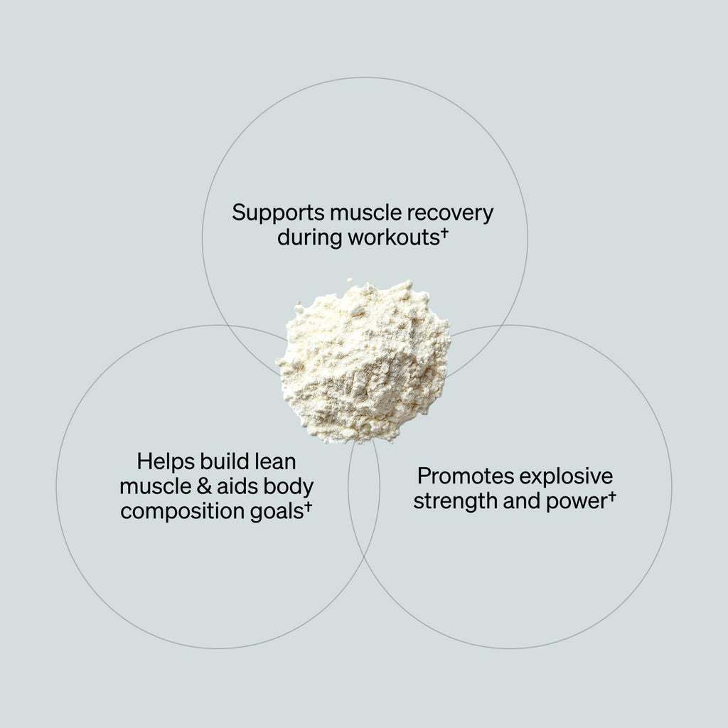 ONNIT Creatine Monohydrate Powder – Unflavored, 90-Serving Value Size – Supports Strength, Lean Muscle, and Brain Energy† – Keto Friendly, No Fillers, 90 Servings, 15.29 oz ONNIT Au supplements