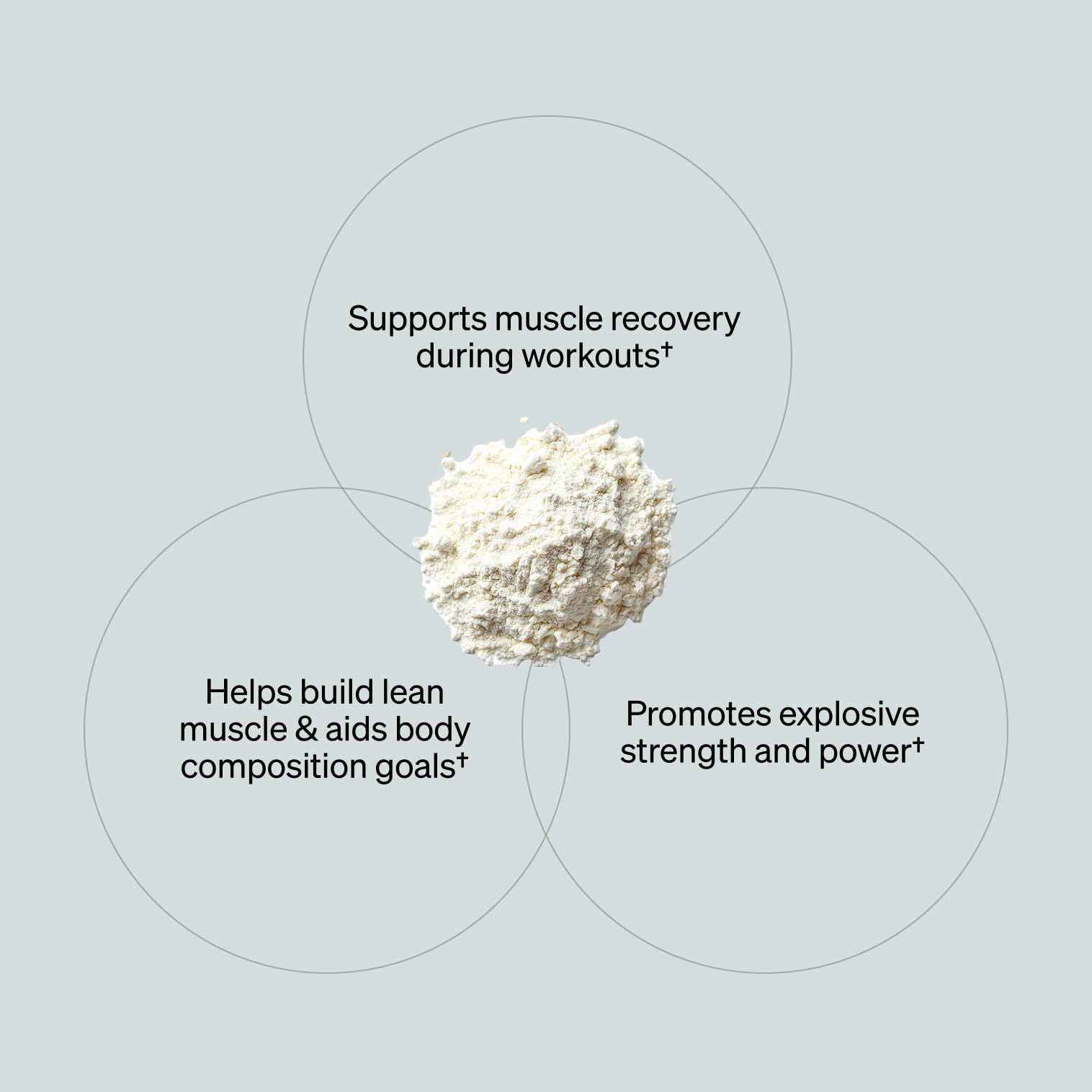 ONNIT Creatine Monohydrate Powder – Unflavored, 90-Serving Value Size – Supports Strength, Lean Muscle, and Brain Energy† – Keto Friendly, No Fillers, 90 Servings, 15.29 oz ONNIT Au supplements