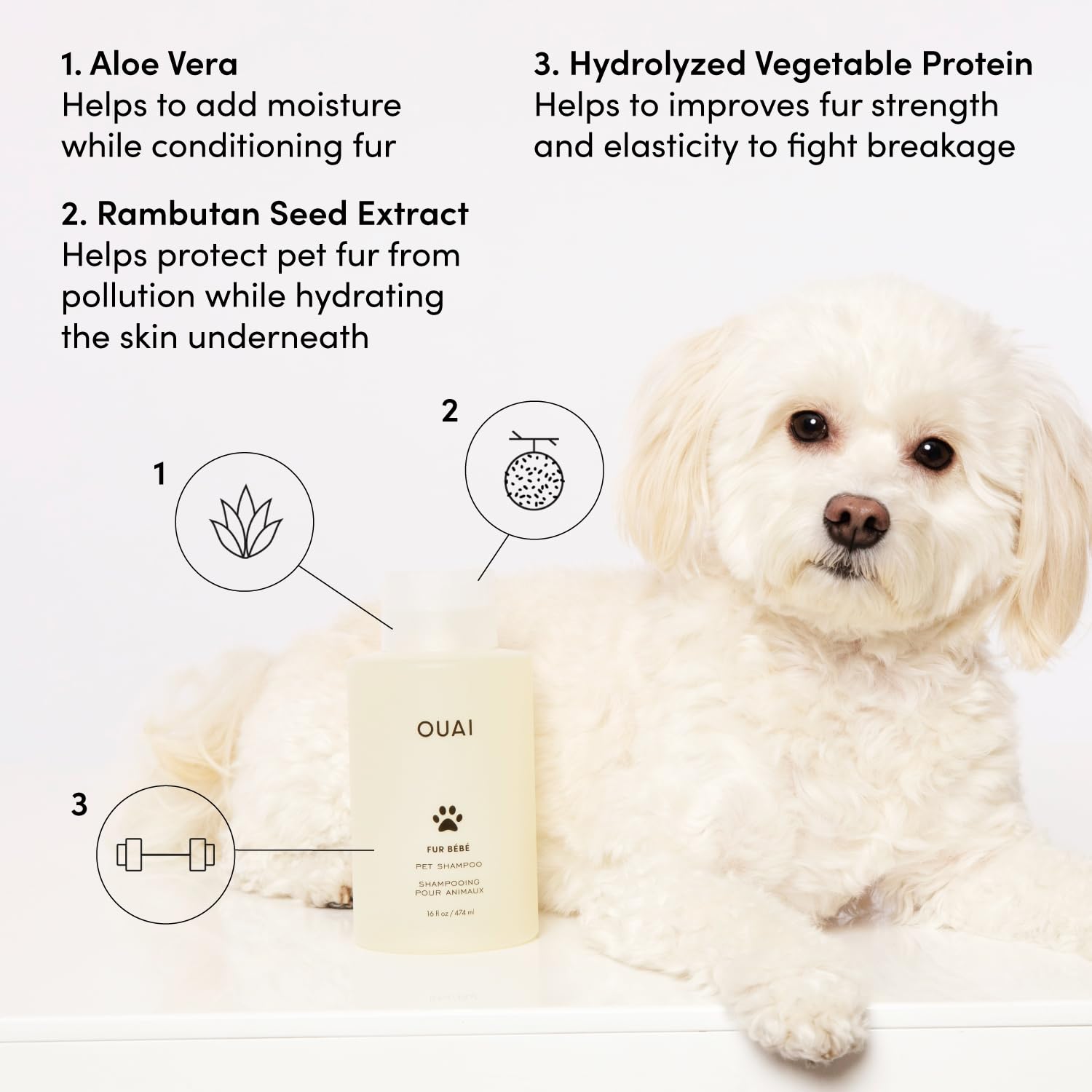 OUAI Fur Bébé Pet Shampoo, Mercer Street Scent - Dog Shampoo and Coat Wash for Hydrating, Cleansing and Adding Shine - Pet Supplies by OUAI (16 Fl Oz) OUAI Au supplements