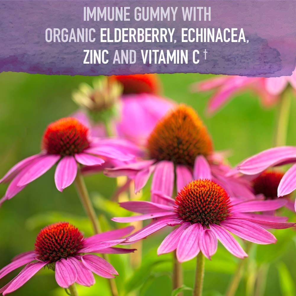 Garden of Life Organics Elderberry Gummies for Adults & Kids - Immune Support Supplement with Organic Fruit, Herbal Blend, Elderberry, Echinacea, Zinc,