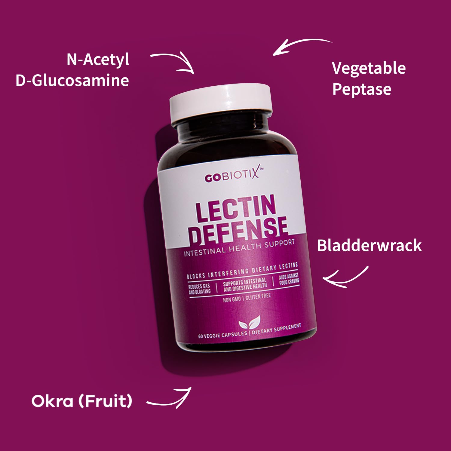 GOBIOTIX Lectin Defense - Lectin Blocker Supplement for Leaky Gut with MSM and Digestive Enzymes - Aids in Intestinal Health for Women and Men - Non-GMO
