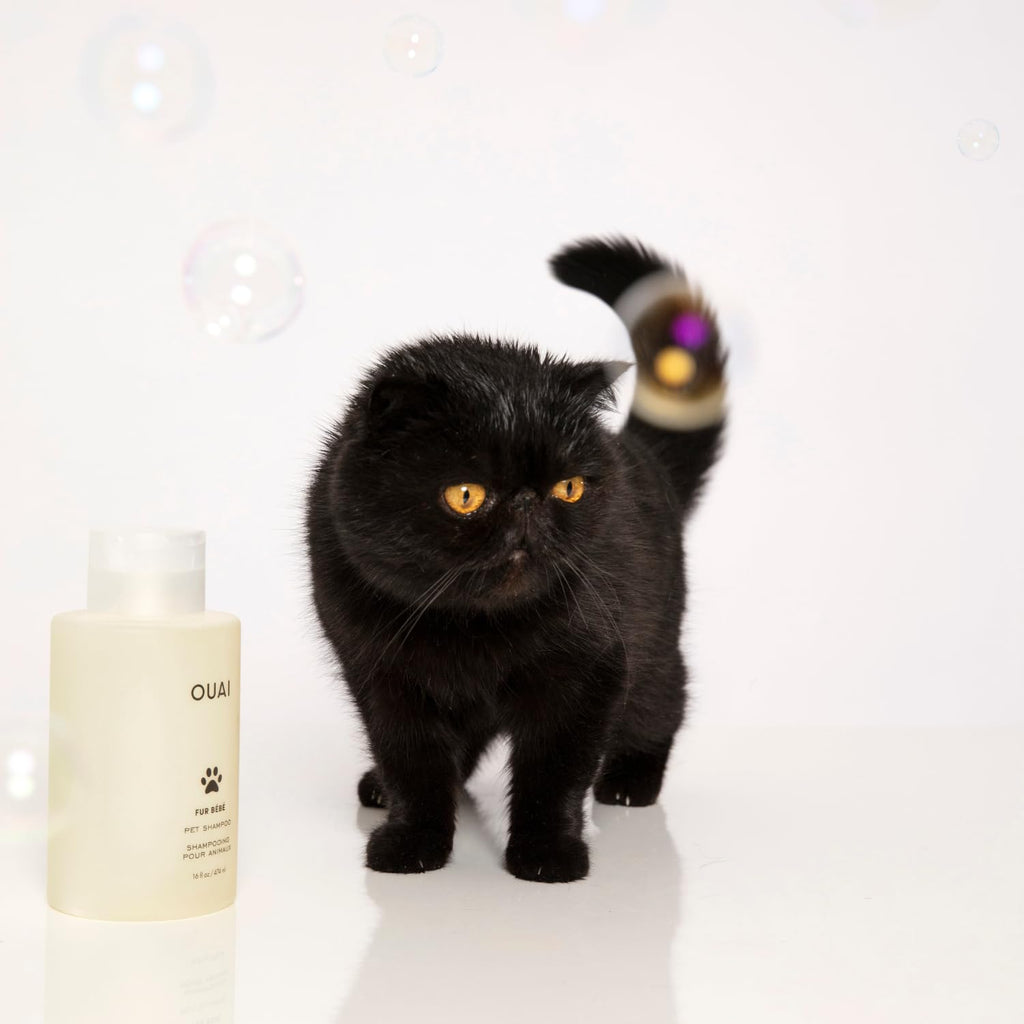 OUAI Fur Bébé Pet Shampoo, Mercer Street Scent - Dog Shampoo and Coat Wash for Hydrating, Cleansing and Adding Shine - Pet Supplies by OUAI (16 Fl Oz) OUAI Au supplements