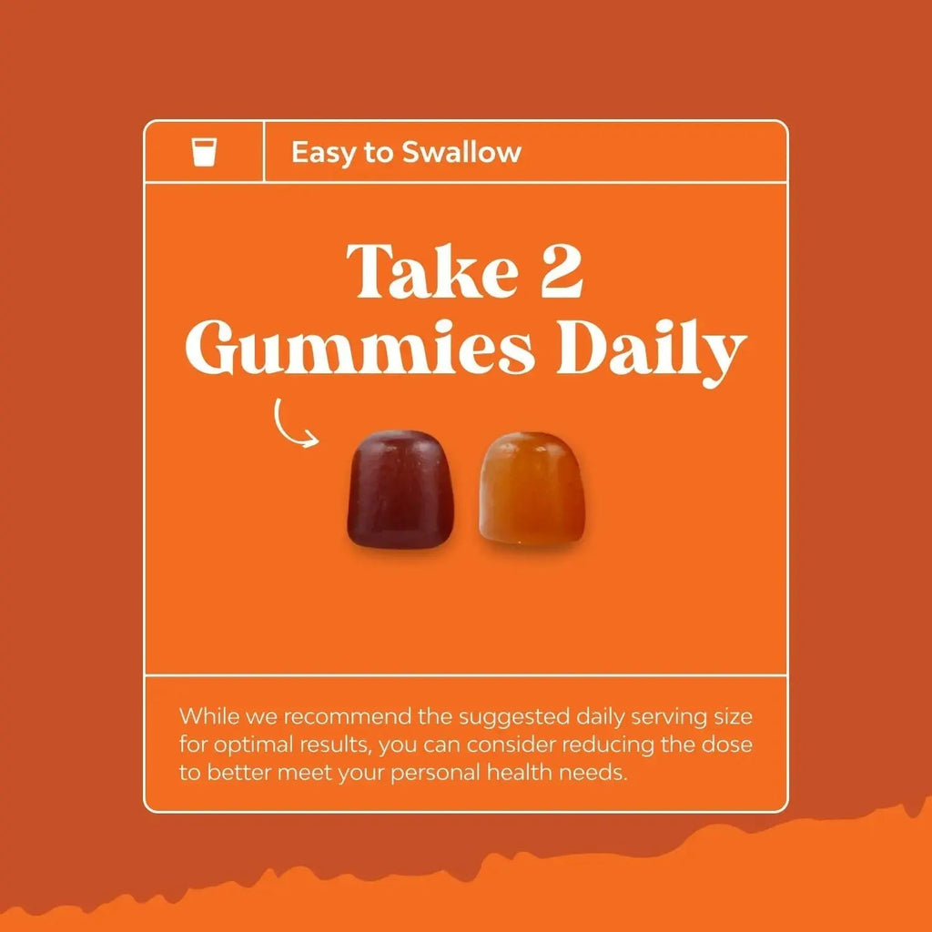 Bundle of Multivitamin Gummies for Adults - Vitamin Gummy for Energy and Immunity - Halal and Chewable Vitamin C Gummies for Adults Natures Craft Au supplements