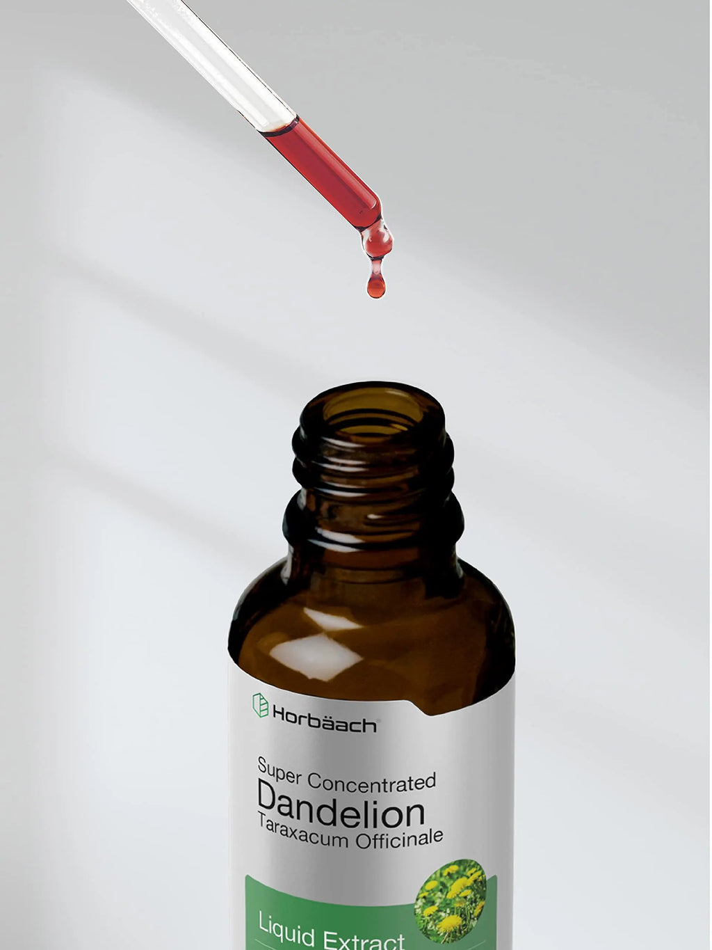 Dandelion Root Extract | 2 fl oz | Super Concentrated | Alcohol Free Liquid Tincture Horbäach Au supplements