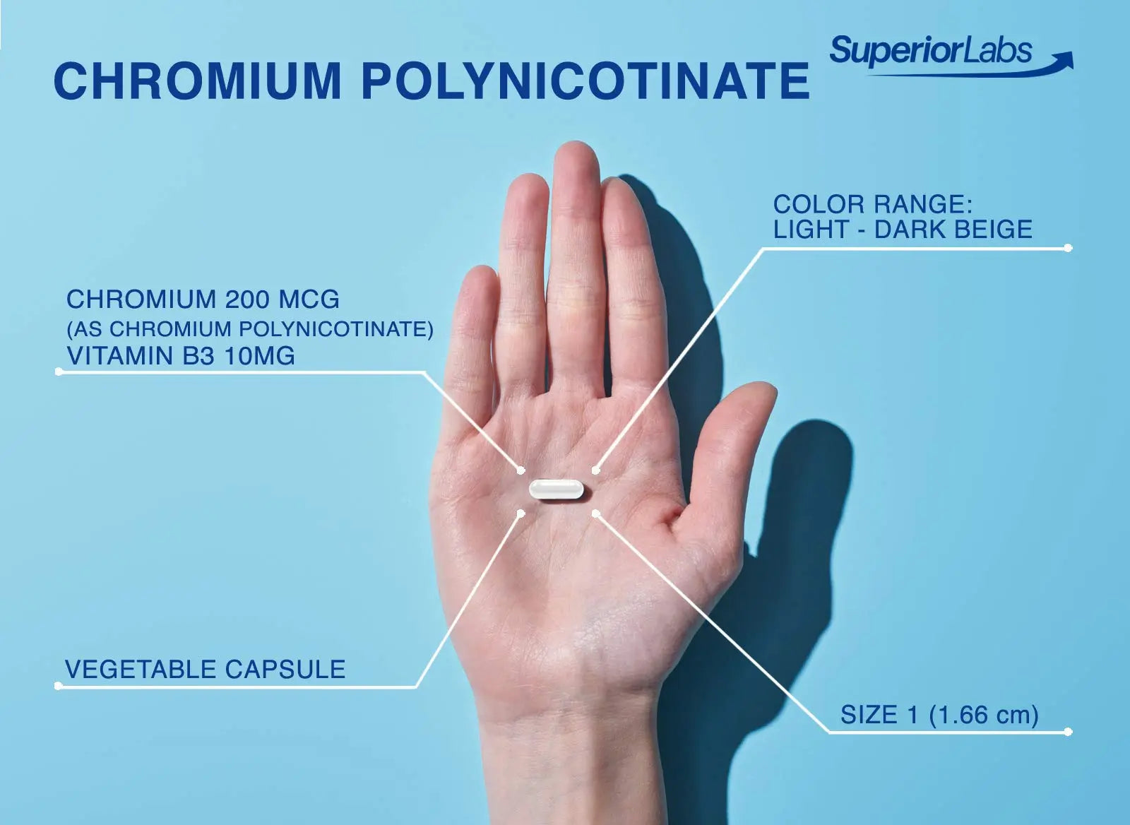 Pure Chromium Polynicotinate Supplement - Made in USA - 200mcg + Vitamin B3 for Optimal Superior Labs Au supplements
