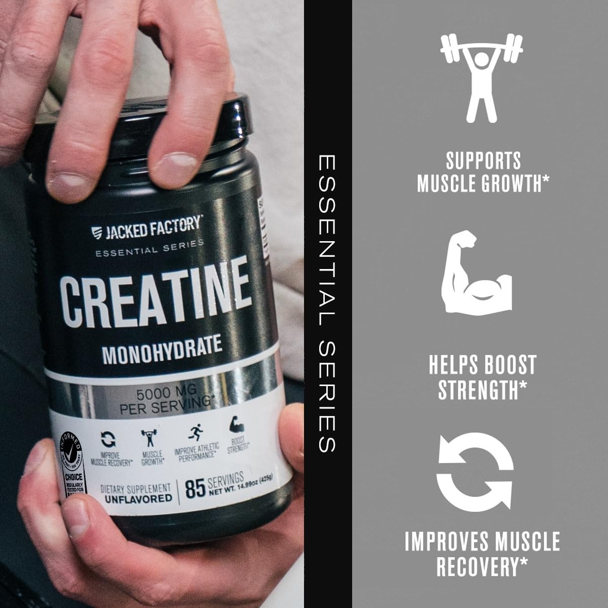 Jacked Factory Creatine Monohydrate Powder 425g - 5g Daily Creatine Supplement for Men and Women, Vegan-Friendly