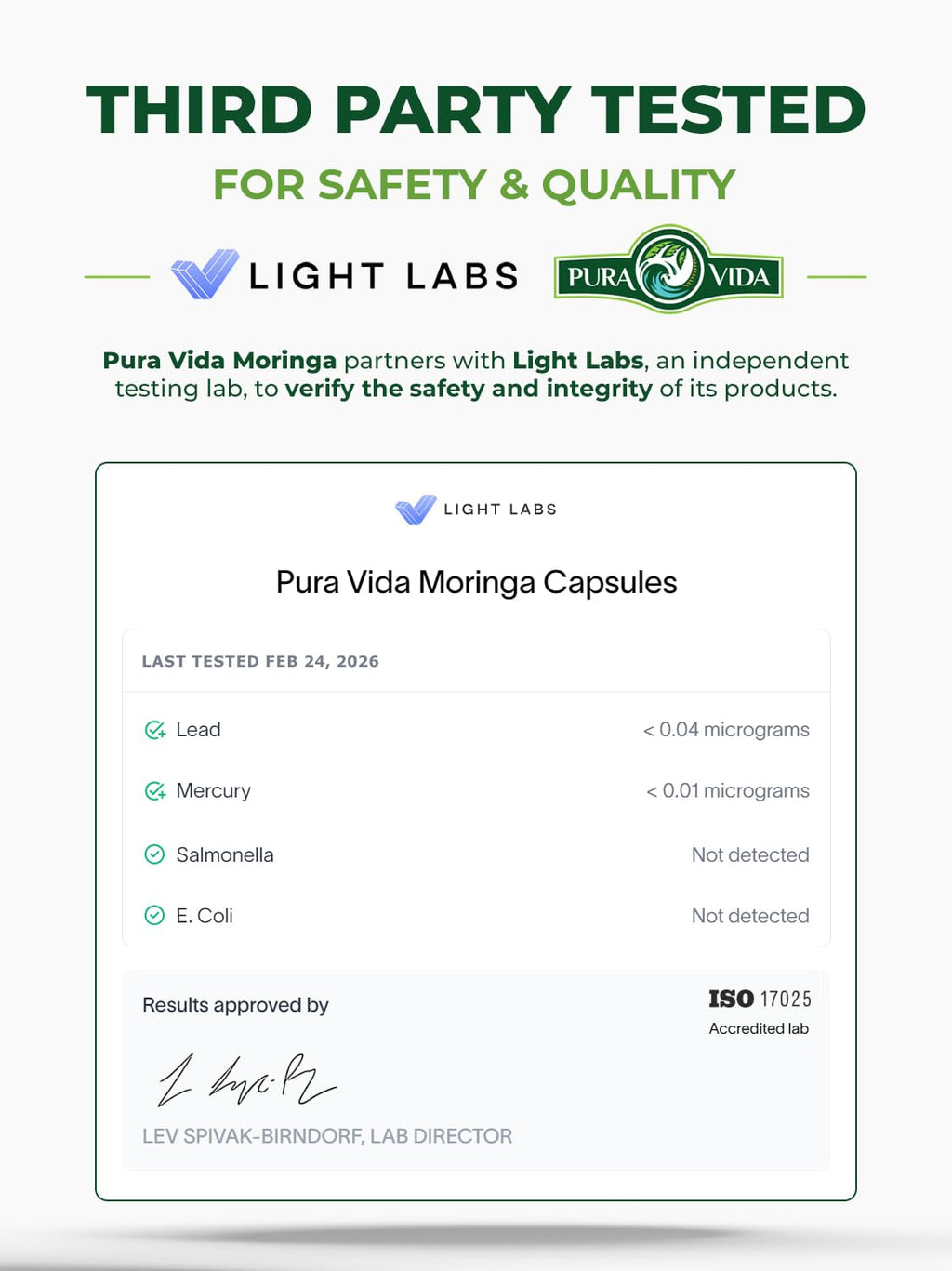 PURA VIDA MORINGA Organic Moringa Powder, Premium 100% Leaf Powder Single Origin - USDA Organic Moringa Oleifera Leaf