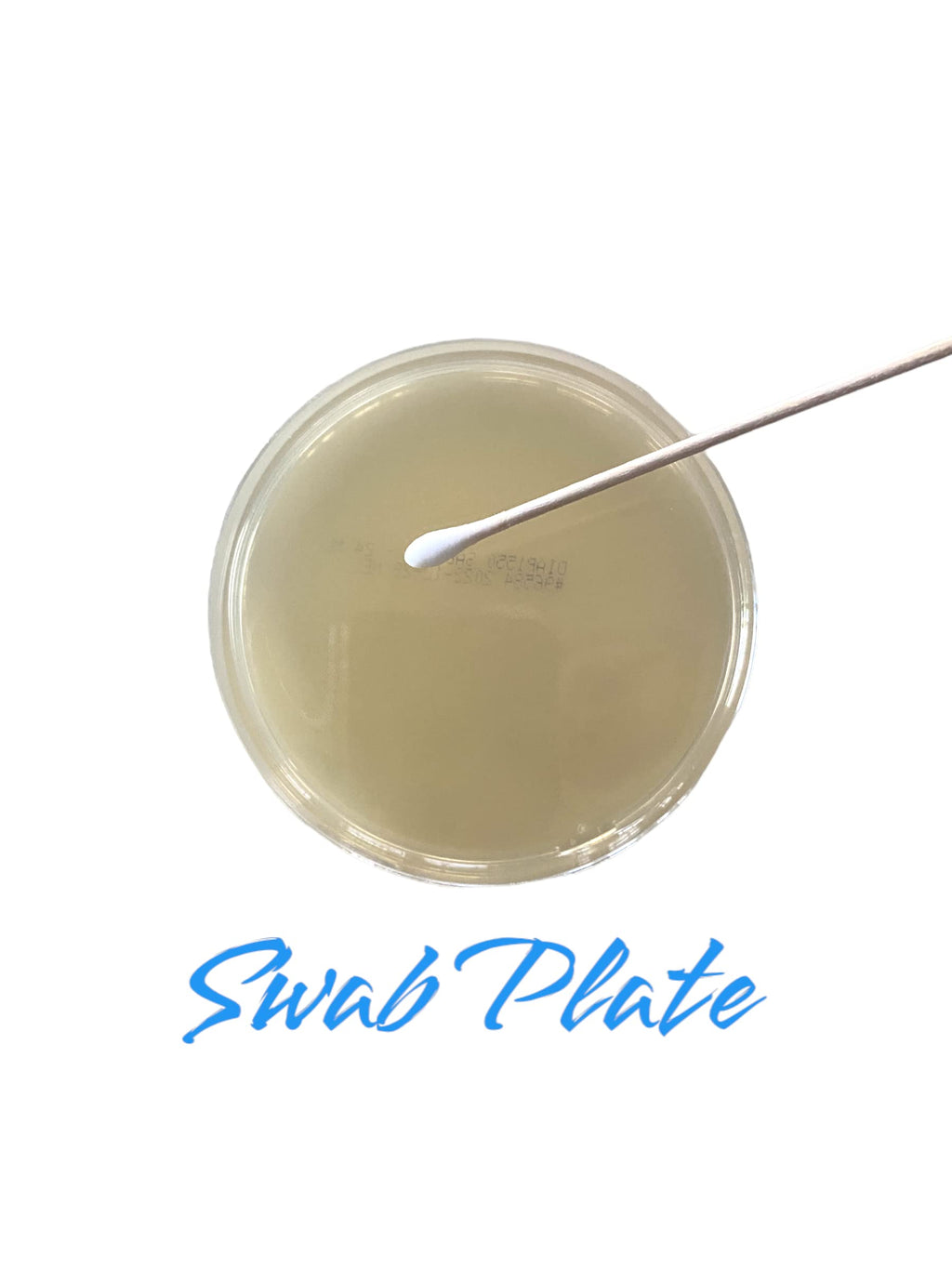 Diamante Scientific Essential Bacteria Kit. Pre-Poured Agar Plates & Swabs. Perfect for Kids. Great for Learning About Microbiology. STEM Education. Experiment Guide eBook Included! Diamante Scientific Au supplements