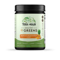 TERRA ORIGIN Healthy Greens Powder Supplement | Superfood Digestive Enzyme & Probiotic Blends | Immune, Gut, and Digestive Support for Women