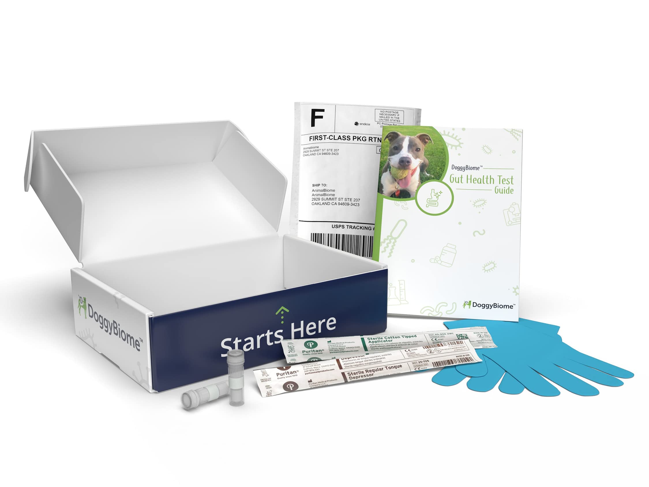 AnimalBiome Dog Gut Health Test – DoggyBiome At Home Stool Testing Kit, Canine Fecal Analysis for Digestive Issues, Diarrhea & Allergy Insights w/Personalized Report & Custom Plan (Dogs Outside US) AnimalBiome Au supplements