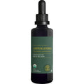 Global Healing Center - Organic Ashwagandha Supplements Drops - KSM-66 Ashwagandha Extra Strength for Men & Women, Helps Promote Relief from Stress, Mood Support, Organic (2 Fl Oz) Global Healing Center Au supplements