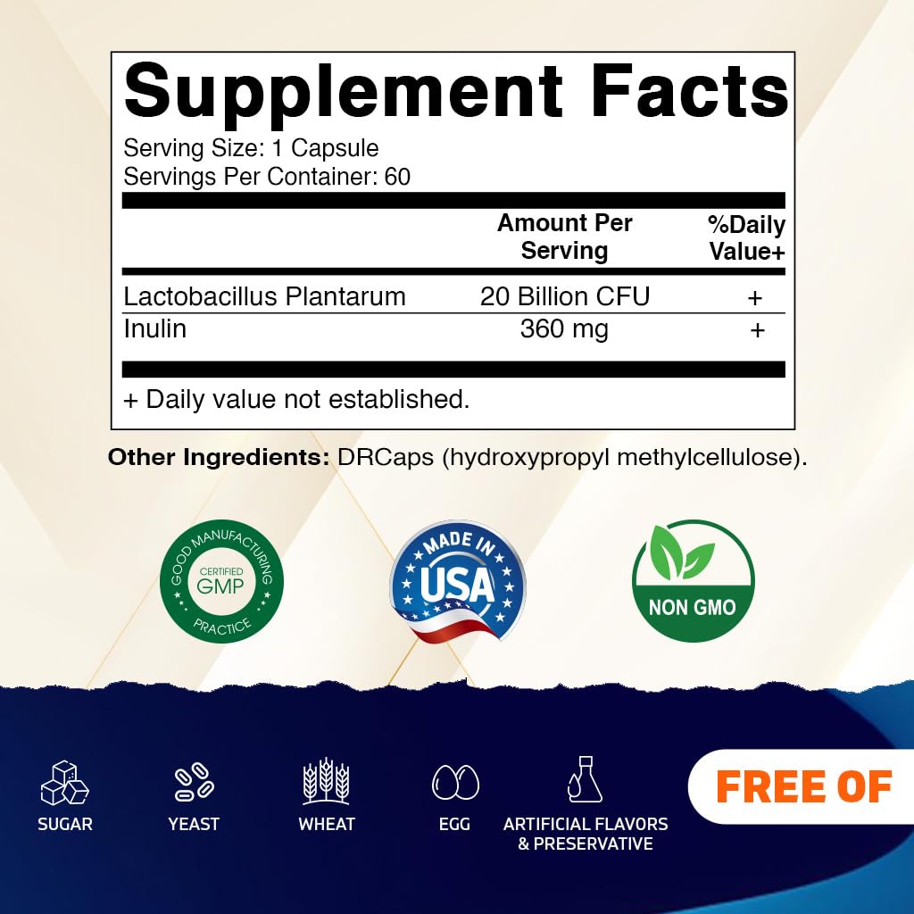 Vitamatic Lactobacillus Plantarum - 20 Billion per DR Capsule - 60 Count - Digestive Support - Made with Prebiotic Inulin Fiber