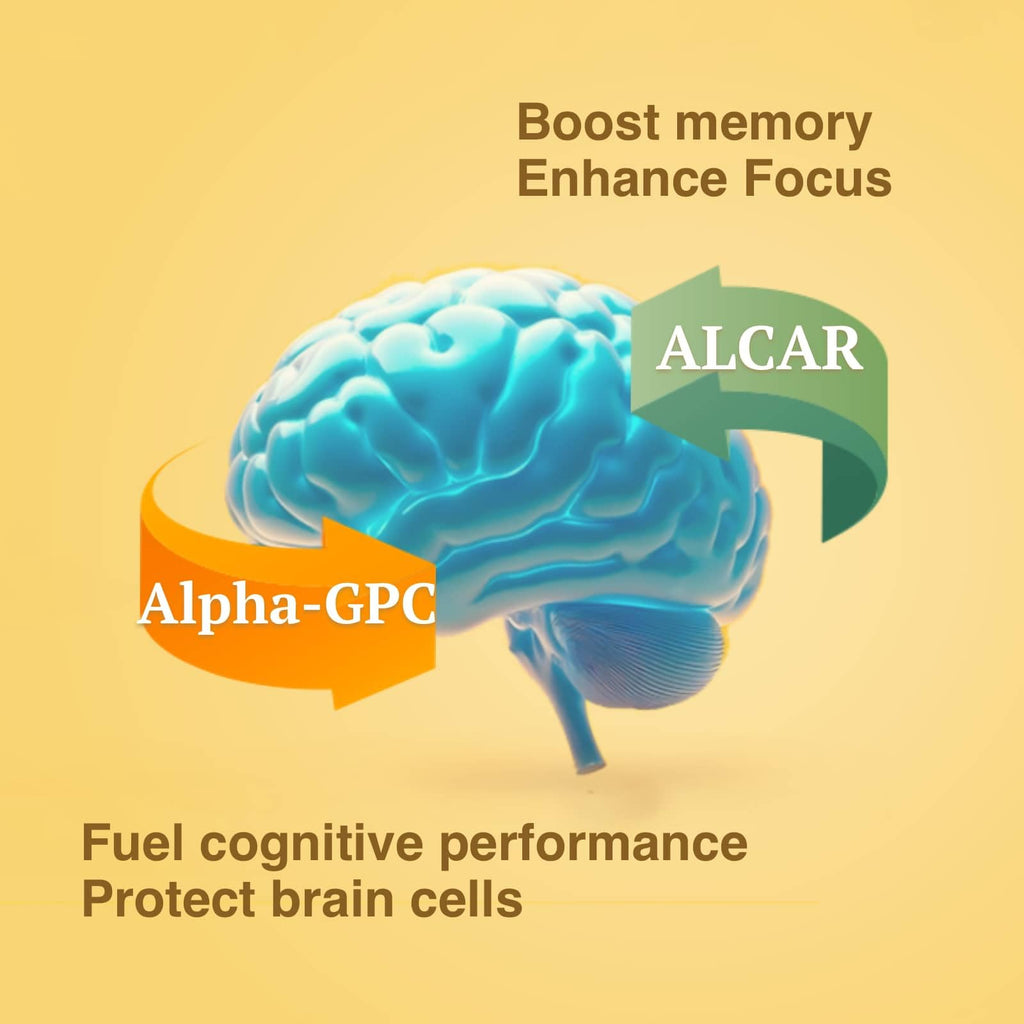 OPTINOURISH Brain Supplement for Memory and Focus, Nootropic for Adults, Fuel Brain Energy & Mental Clarity, Caffeine Free,Cognitive Support, Doctor-Formulated, Made in USA,cGMP,120 Caps OPTINOURISH Au supplements
