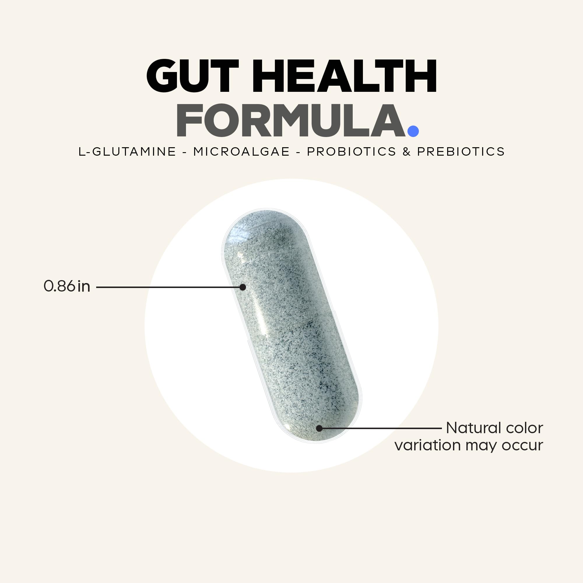 Codeage Gut Health Supplements Vegan Formula - L Glutamine, Zinc, Turkey Tail Mushroom Powder, Tonic Mushroom, Maitake, Micro Algae, Mineral,