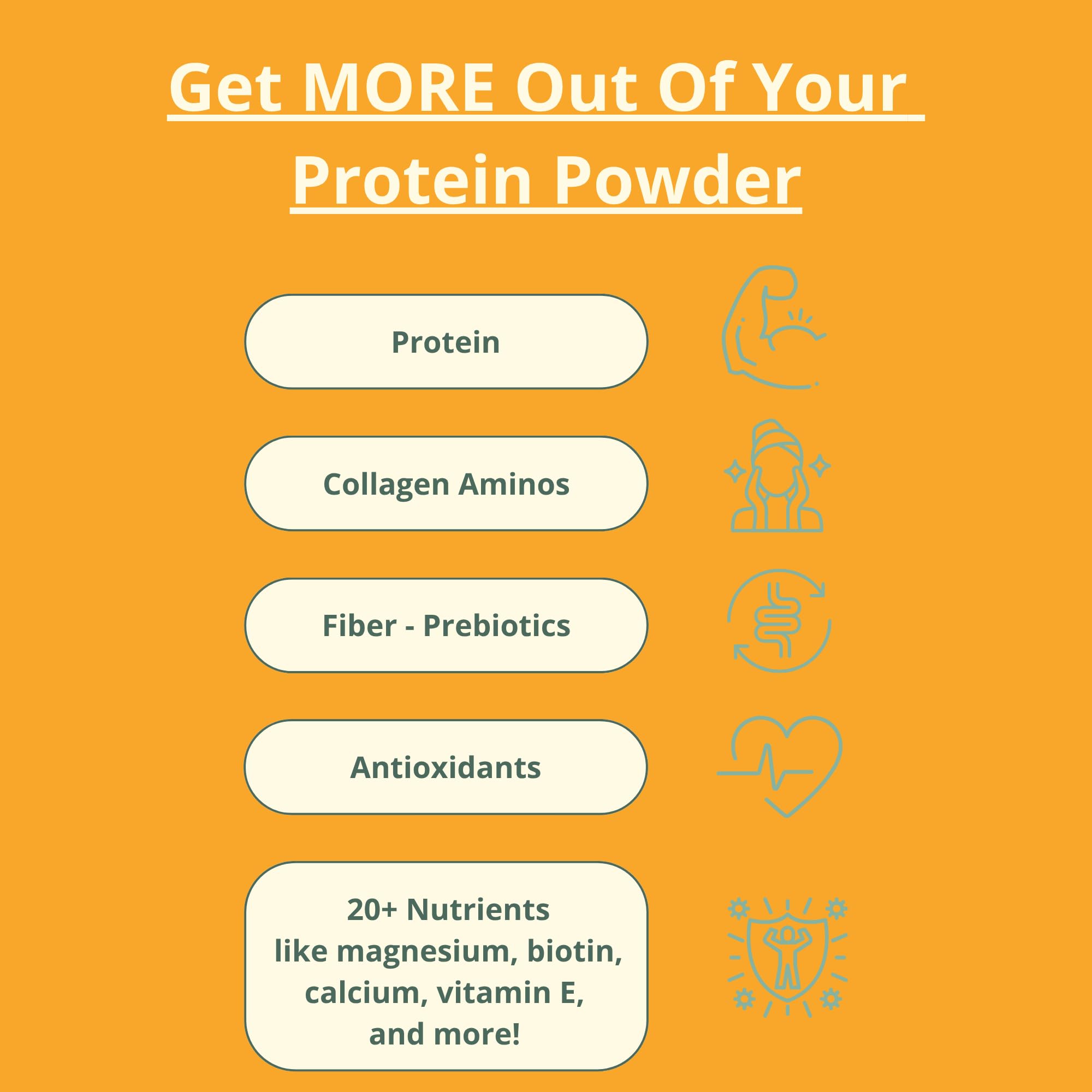 wellious Almond Protein Powder (Unflavored, Unsweetened) - 18 Grams of Pure Healthiest Vegan Protein for Women & Men | Soy-Free & Gut Friendly Protein