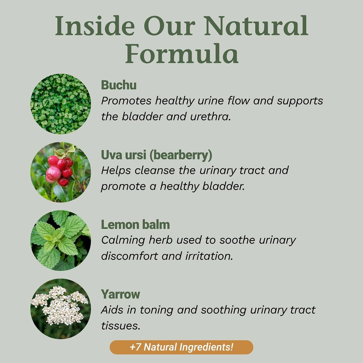 Native Remedies UTI-Clear for Urinary Tract and Bladder Health, 59 ml Native Remedies Au supplements