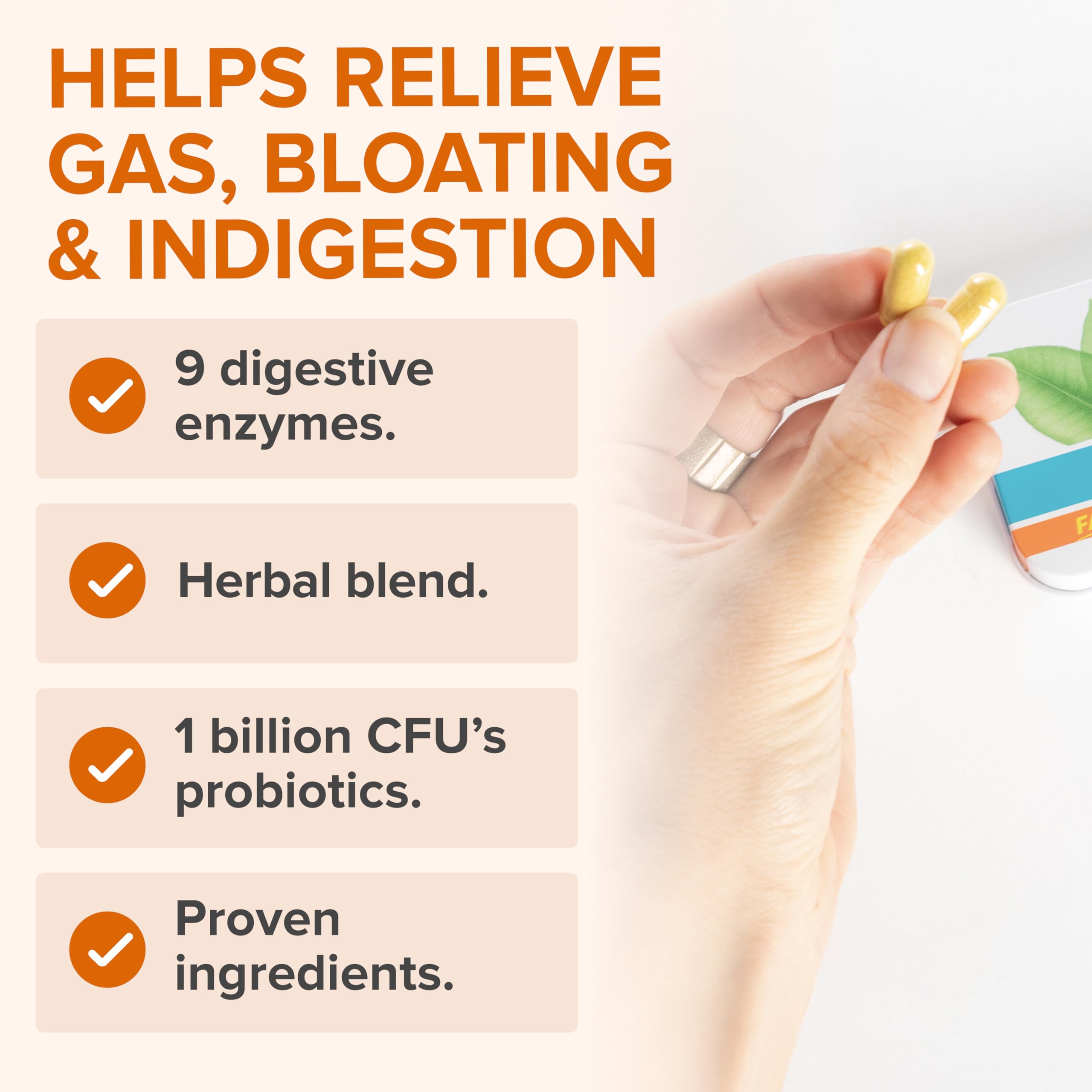 Zenwise Health No Bloat Probiotics for Women and Men Digestive Health with Ginger, Dandelion, and Lactase, Digestive Enzymes for Gas and Bloating Relief - Vegan Water Retention Pills - 14 CT Zenwise Health Au supplements