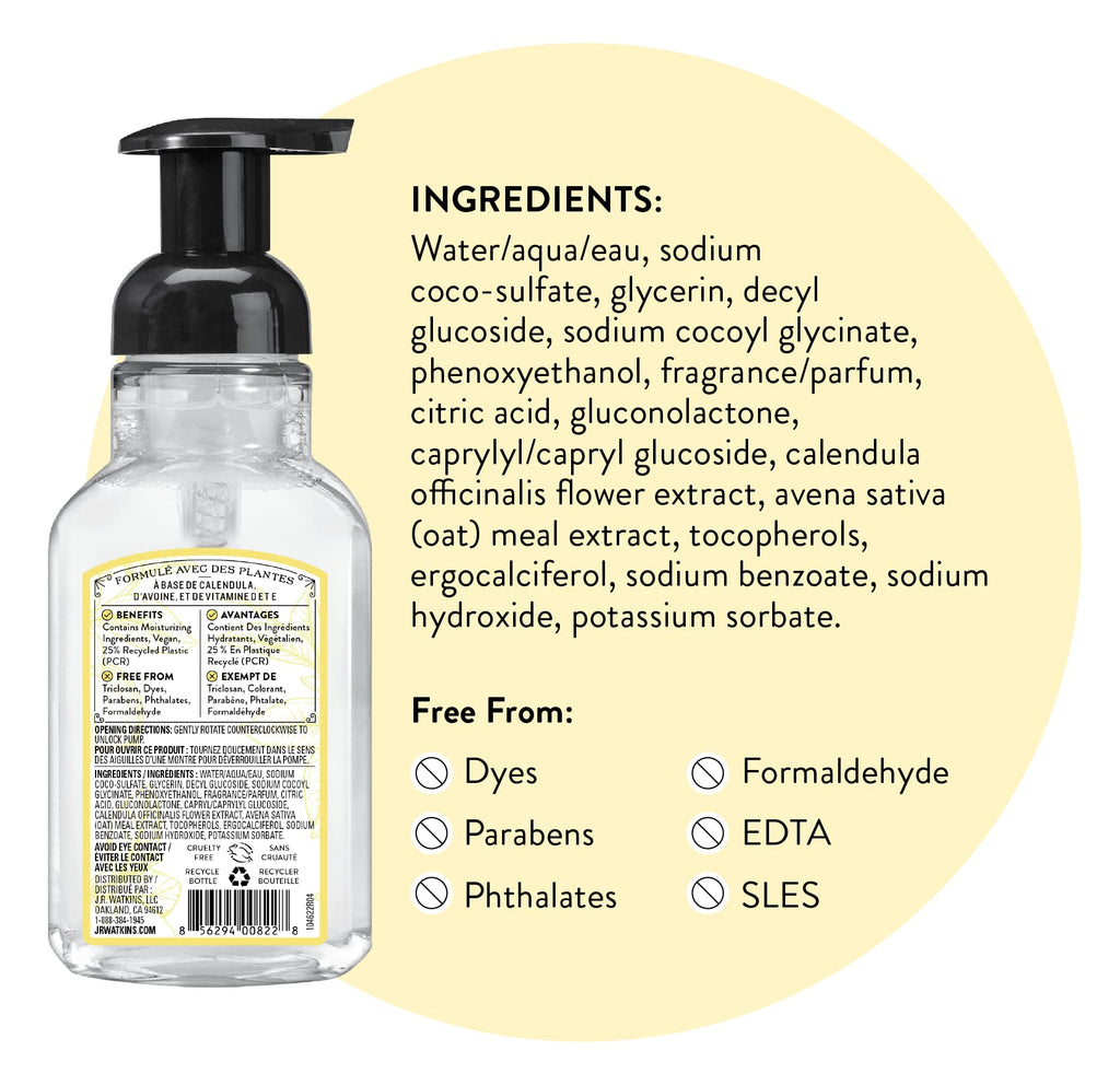 J.R. Watkins Foaming Hand Soap with Pump Dispenser, Moisturizing Foam Hand Wash, Alcohol-Free, Cruelty-Free, Citron, 9 fl oz, 3 Pack