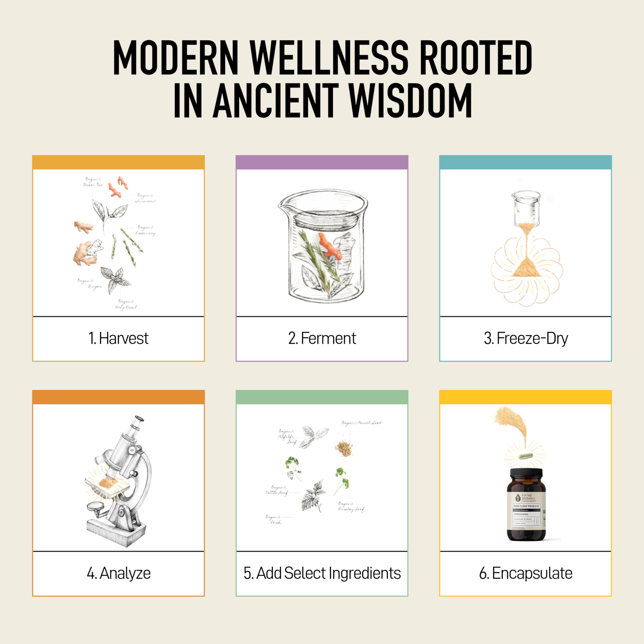 Living Alchemy Gut Health Supplements for Men & Women - Your Flora Probiotic Professional Digestion Supplement with Fermented Soybean, Prebiotics,
