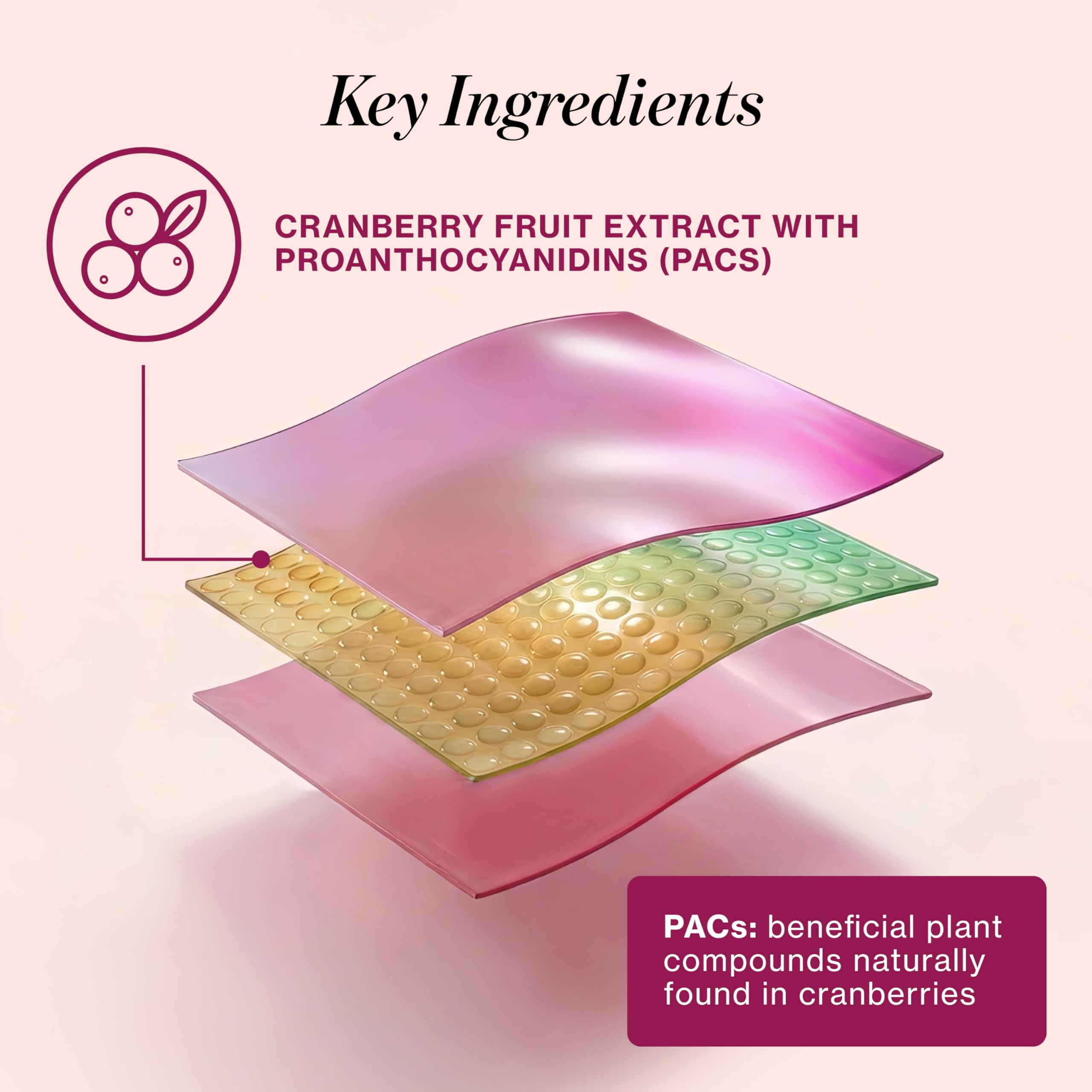 Love Wellness Urinary Tract* Quick Melt Strips - Fast-Dissolving UT Support with 36 mg PACs from Cranberry Fruit Extract - Promotes Urinary Health* - No Water Needed - Vegan and Sugar Free - 32 Strips Love Wellness Au supplements