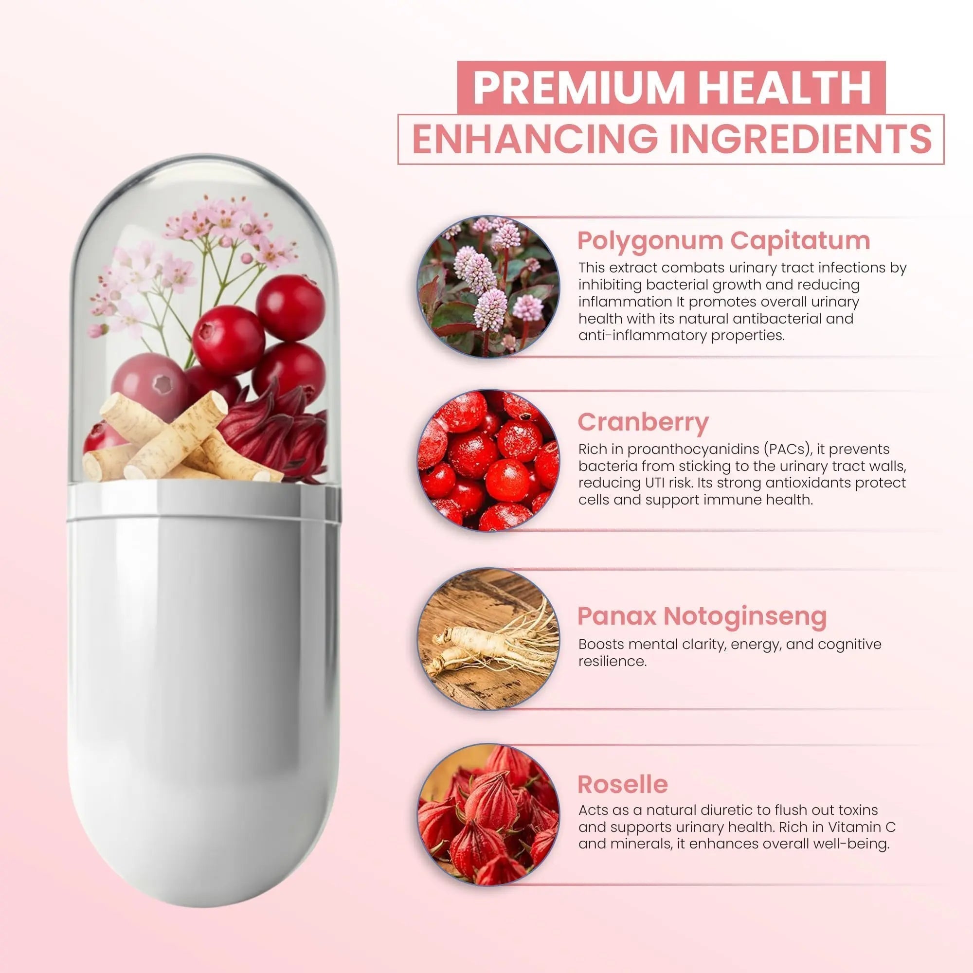 ZEN LIFE HERB UTFREx – Fast Acting - Promotes Urinary Tract Health Supports Healthy Immune and Urinary System, No Vitamins, Minerals, Prebiotics, Sugar, Plant-Based Supplement (60 Capsules) ZEN LIFE HERB Au supplements