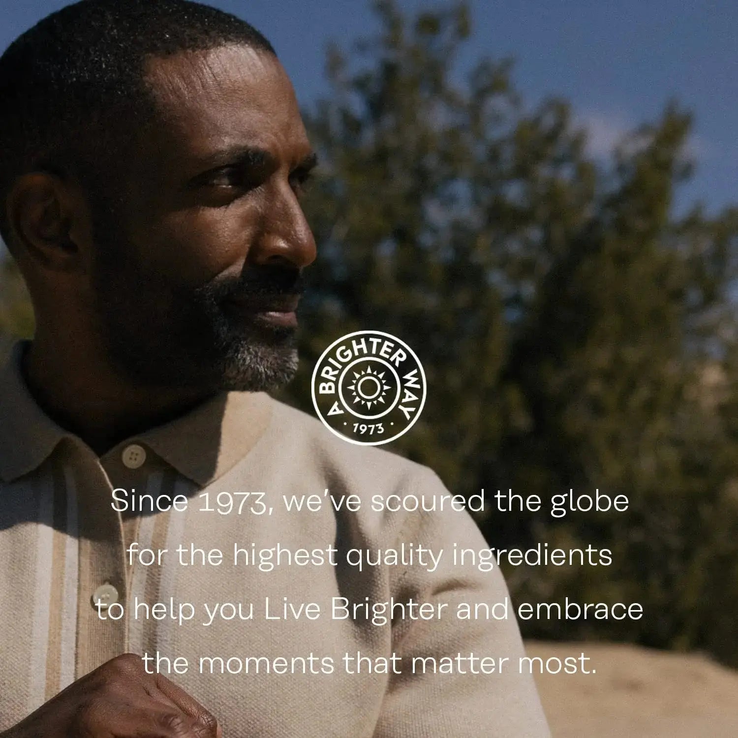 SOLARAY High Energy Multivitamin, No Iron, 1/Day, Timed-Release Formula, Whole Food & Herb Base 120 VegCaps SOLARAY Au supplements