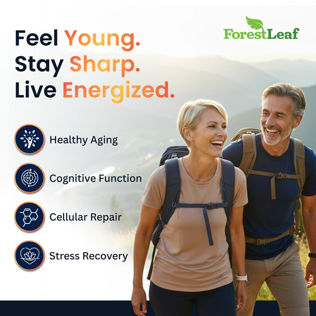 ForestLeaf NAD Resveratrol Capsules, Liposomal NAD Supplement for Women and Men with D-Ribose and Pomegranate, NAD+ for Energy, Focus and Anti-Aging Support, NMN Supplement Alternative (60 Caps) ForestLeaf Au supplements
