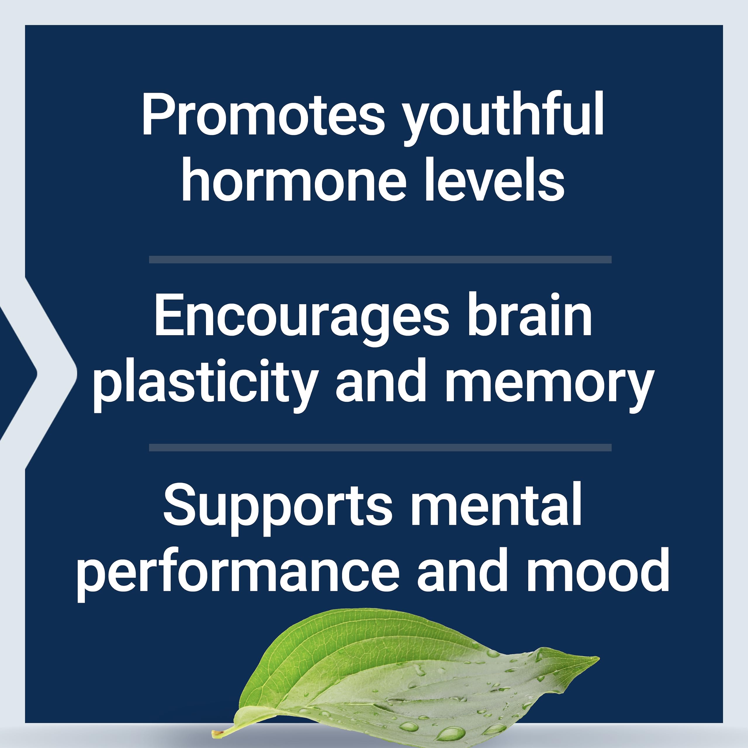 Life Extension Pregnenolone - Hormone Balance Supplement for Healthy Hormone Levels, 100 mg - Hormone Balance, Memory, Focus, Cognitive Health - Gluten-Free, Non-GMO, 100 Capsules Life Extension Au supplements