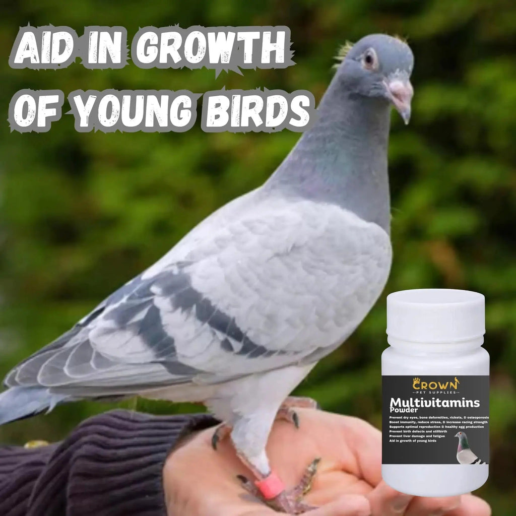 Multivitamin Powder for Pigeons – Ultimate Vitamin Formula for Racing & Breeding – Supports Growth, Bone Strength, Reproductive Health & Feather Health Crown Pet Supplies Au supplements