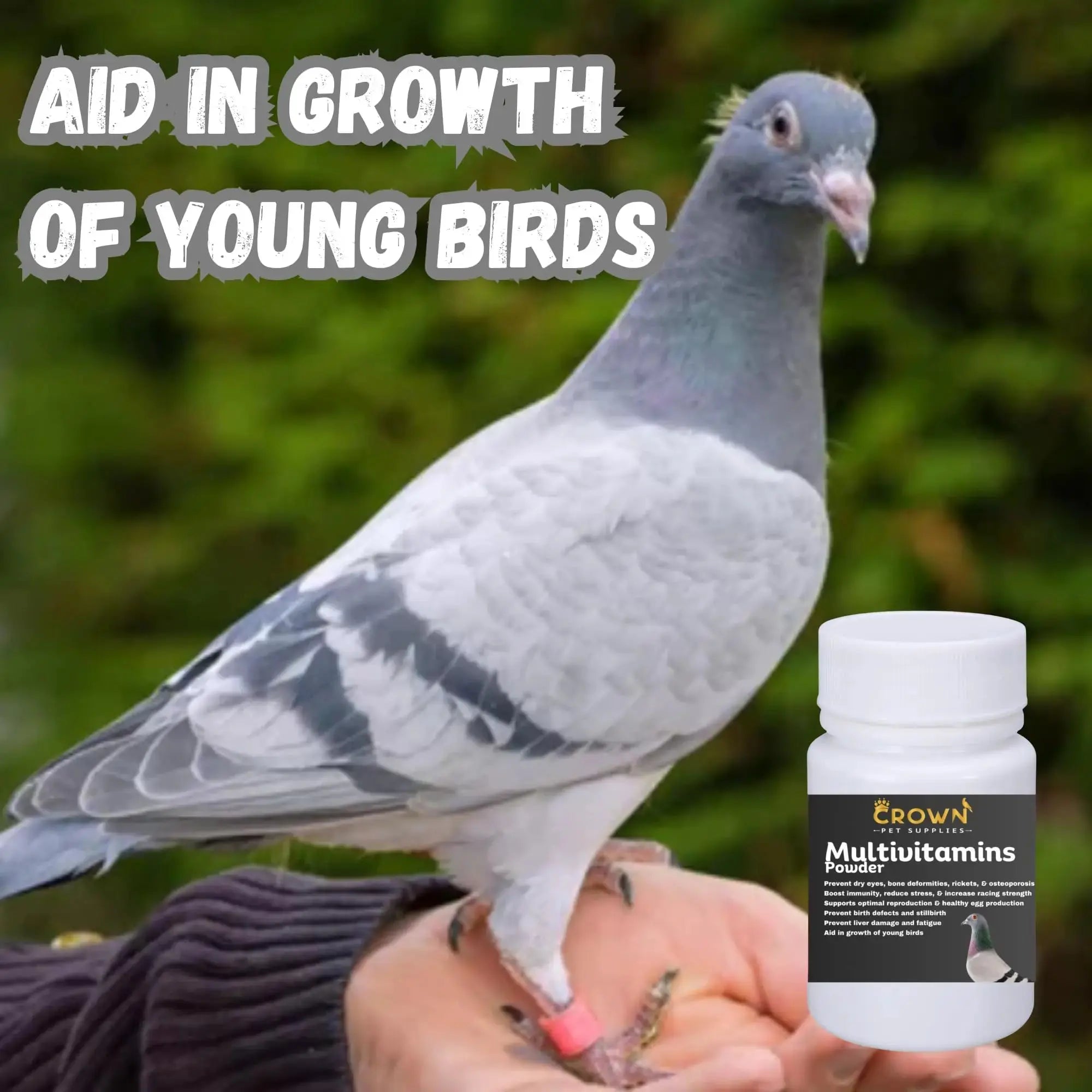 Multivitamin Powder for Pigeons – Ultimate Vitamin Formula for Racing & Breeding – Supports Growth, Bone Strength, Reproductive Health & Feather Health Crown Pet Supplies Au supplements