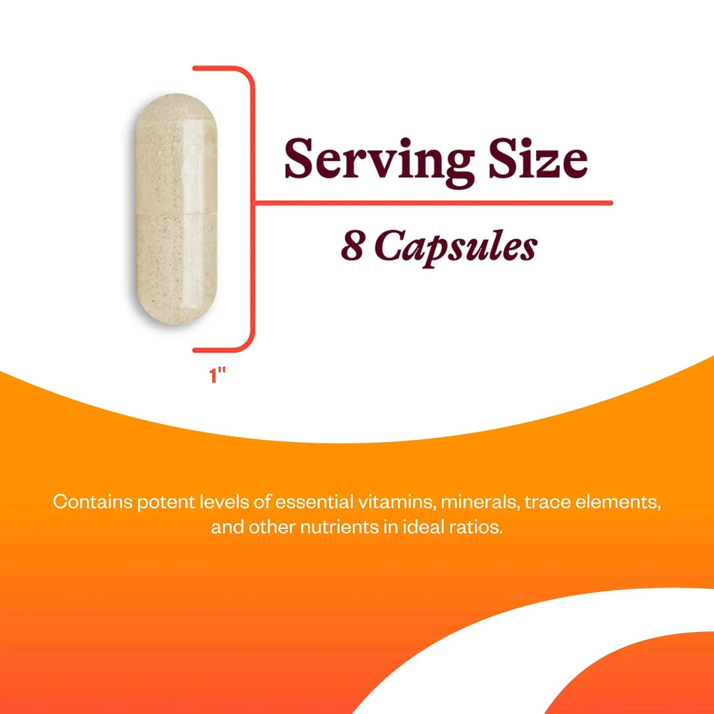 Seeking Health Optimal Multivitamin, Active B Vitamins and L-5-MTHF, Riboflavin, B6, Bioavailable Folate and B12, CoQ10 Seeking Health Au supplements