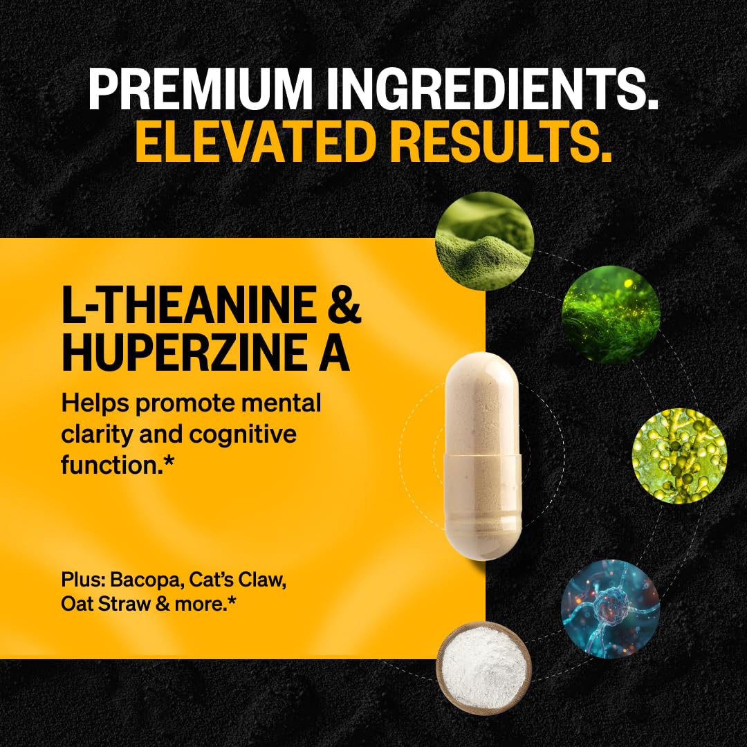 ONNIT Alpha Brain Capsules for Men & Women, IGEN Non-GMO Tested Memory, Focus & Mental Clarity Support with L-Theanine