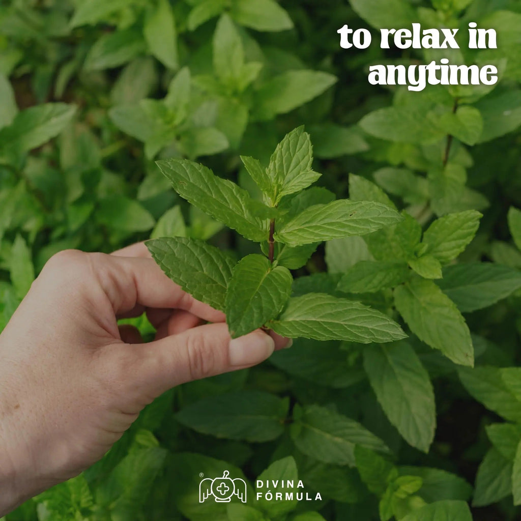 Divina Fórmula - 100% Pure Peppermint Essential Oil - Aromatherapy Oils, Essential Oils - Oil for Massage Divina FÓrmula Au supplements