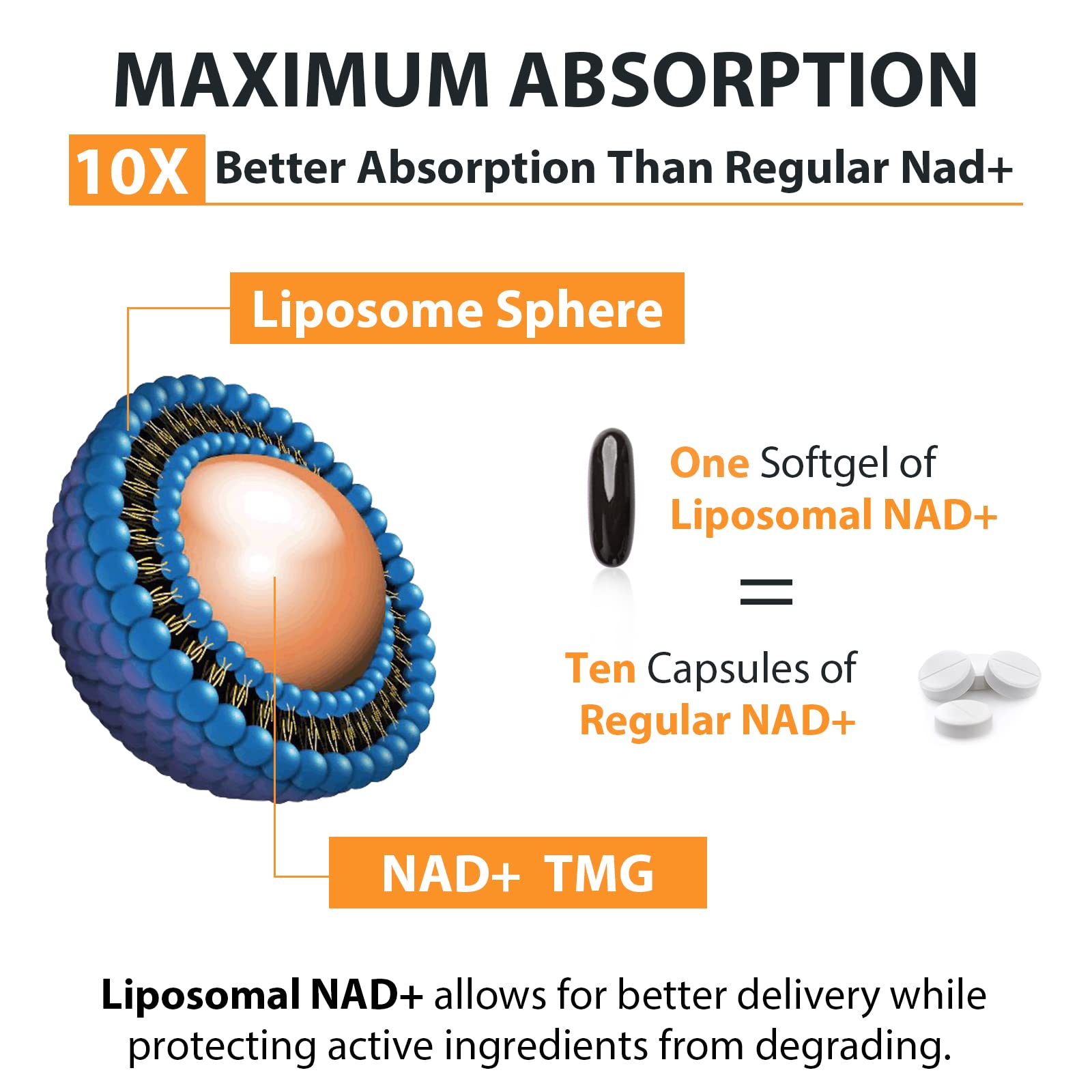 Orgabay Liposomal NAD+ Supplement 500 mg, High Absorption, Boost NAD+ with TMG 250 mg, Actual NAD Plus More Efficient Than Nicotinamide Riboside, Support Cellular Energy, Healthy Aging | 180 Softgels Orgabay Au supplements