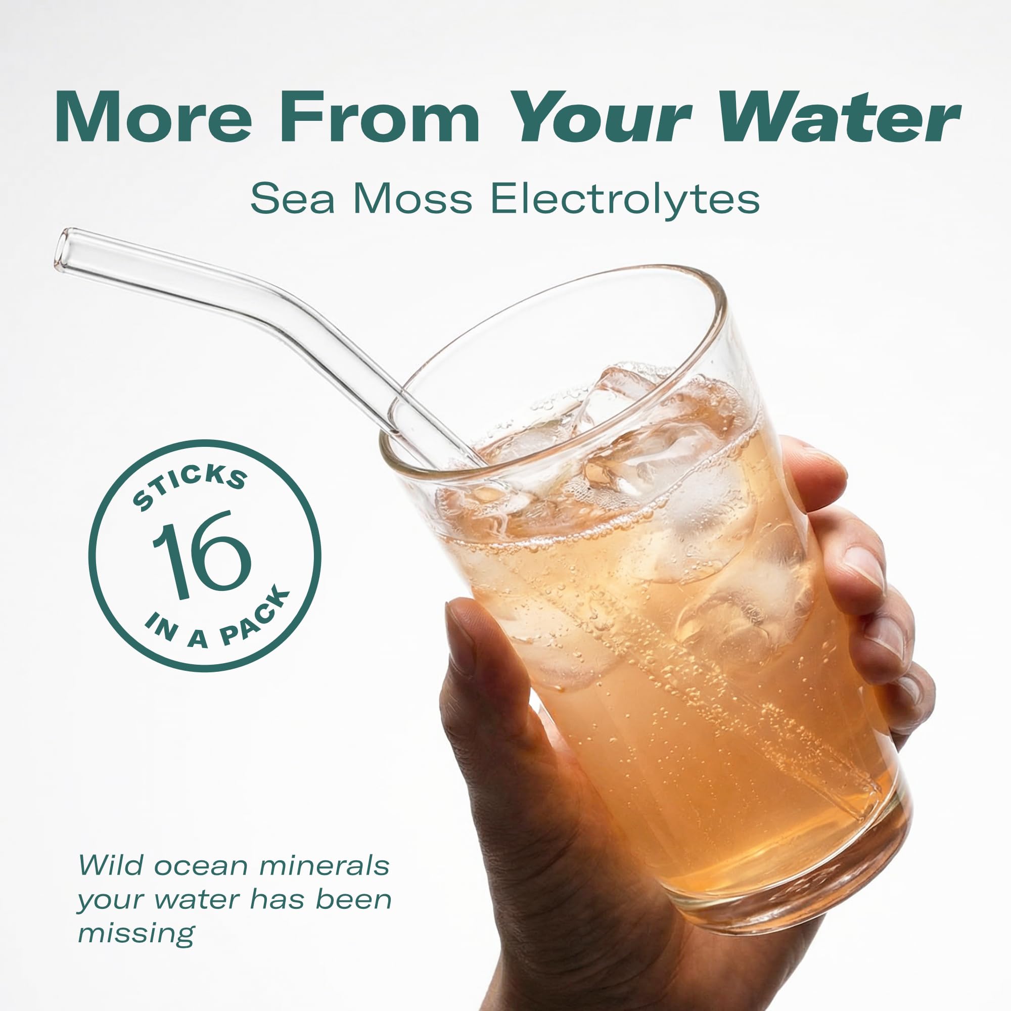 TrueSeaMoss Electrolytes Powder Packets – Made in USA – 16 Stickpacks – Hydration Powder with Sea Moss with Potassium – No Sugar Drinks – Variety Pack