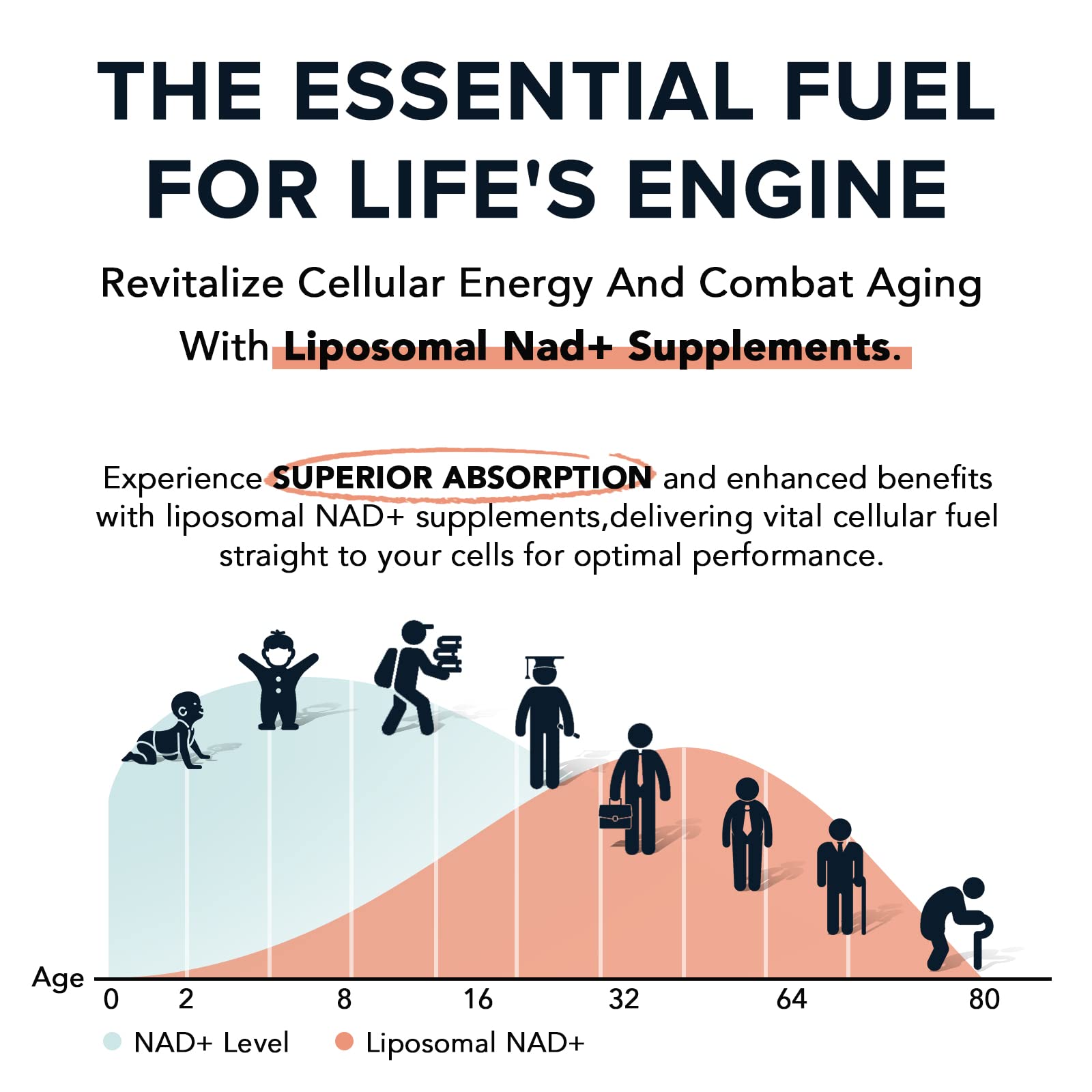 Fabamax 1600 mg Liposomal NAD Supplement, 98% Pure NAD+ Supplement, Superior Absorption, Alternative to Nicotinamide Riboside or NADH to Boost NAD+ for Aging Defense, Energy, Longevity,60 Softgels Fabamax Au supplements
