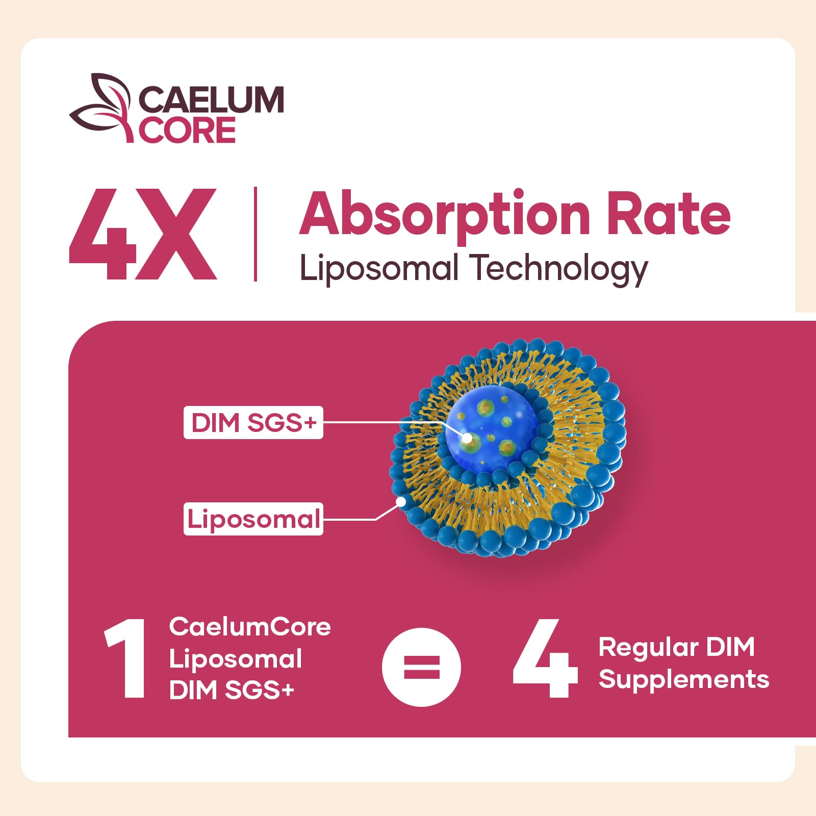CEALMU CORE Liposomal DIM SGS Supplement - Estrogen Supplements for Women & Men Contains Sulforaphane Glucosinolate, Vitamin E, Pomegranate Fruit - Support Detox and Antioxidant (1 Pack) CEALMU CORE Au supplements