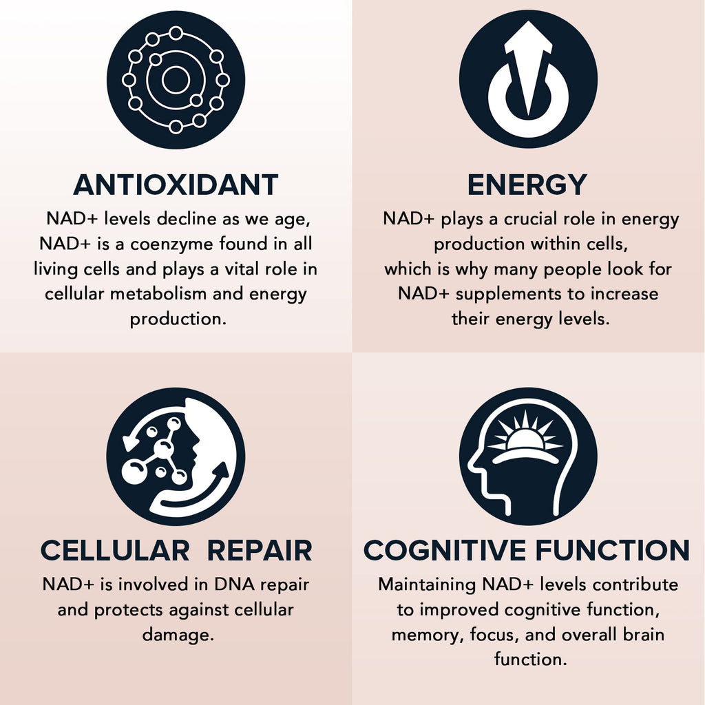 Fabamax 1600 mg Liposomal NAD Supplement, 98% Pure NAD+ Supplement, Superior Absorption, Alternative to Nicotinamide Riboside or NADH to Boost NAD+ for Aging Defense, Energy, Longevity,60 Softgels Fabamax Au supplements