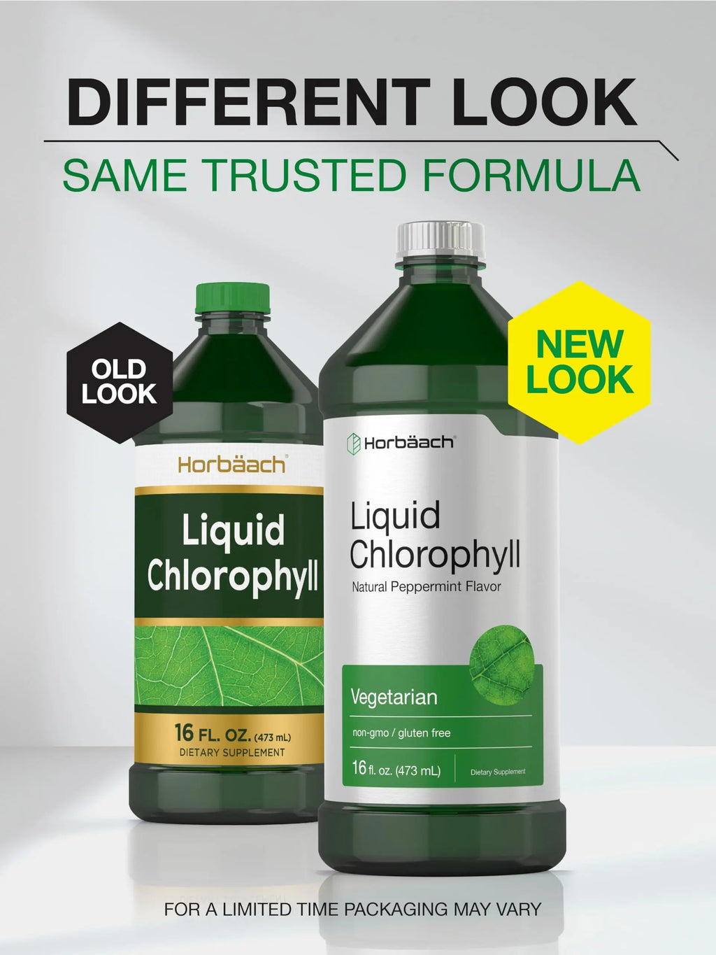 Chlorophyll Liquid Drops 100mg | 32 oz (2 x 16 oz Bottles) | Natural Peppermint Flavor Horbäach Au supplements